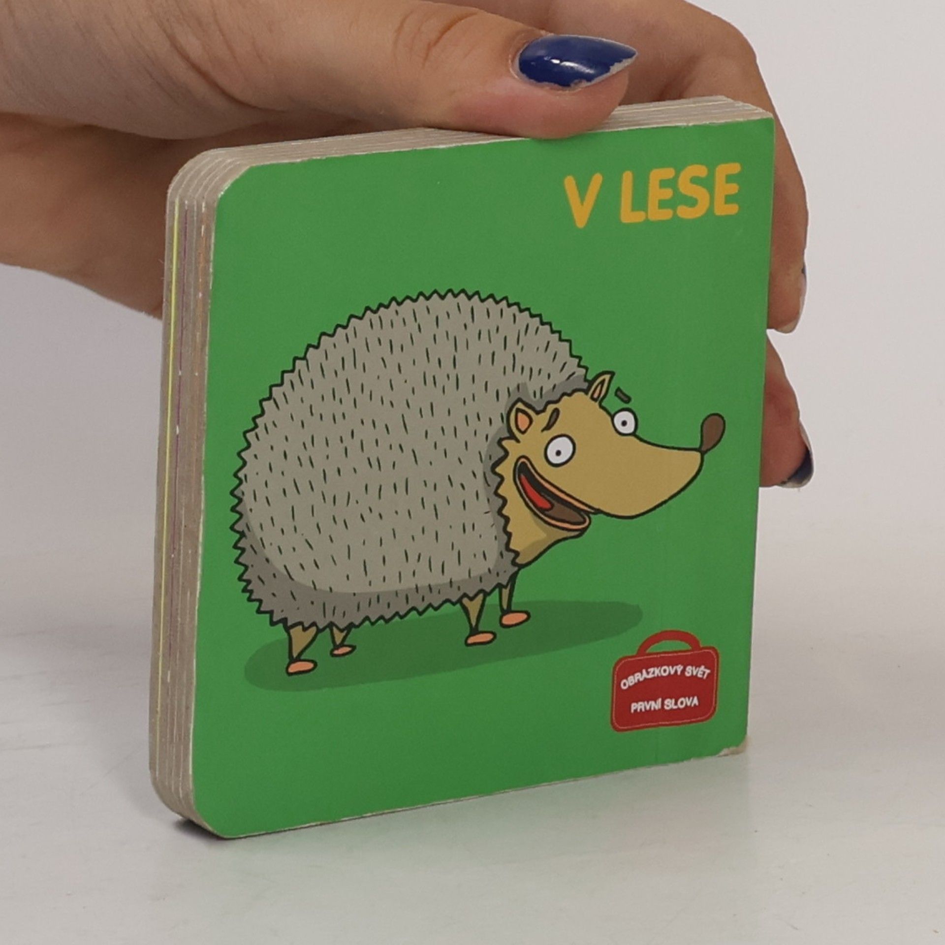 Kolektiv autorů V lese