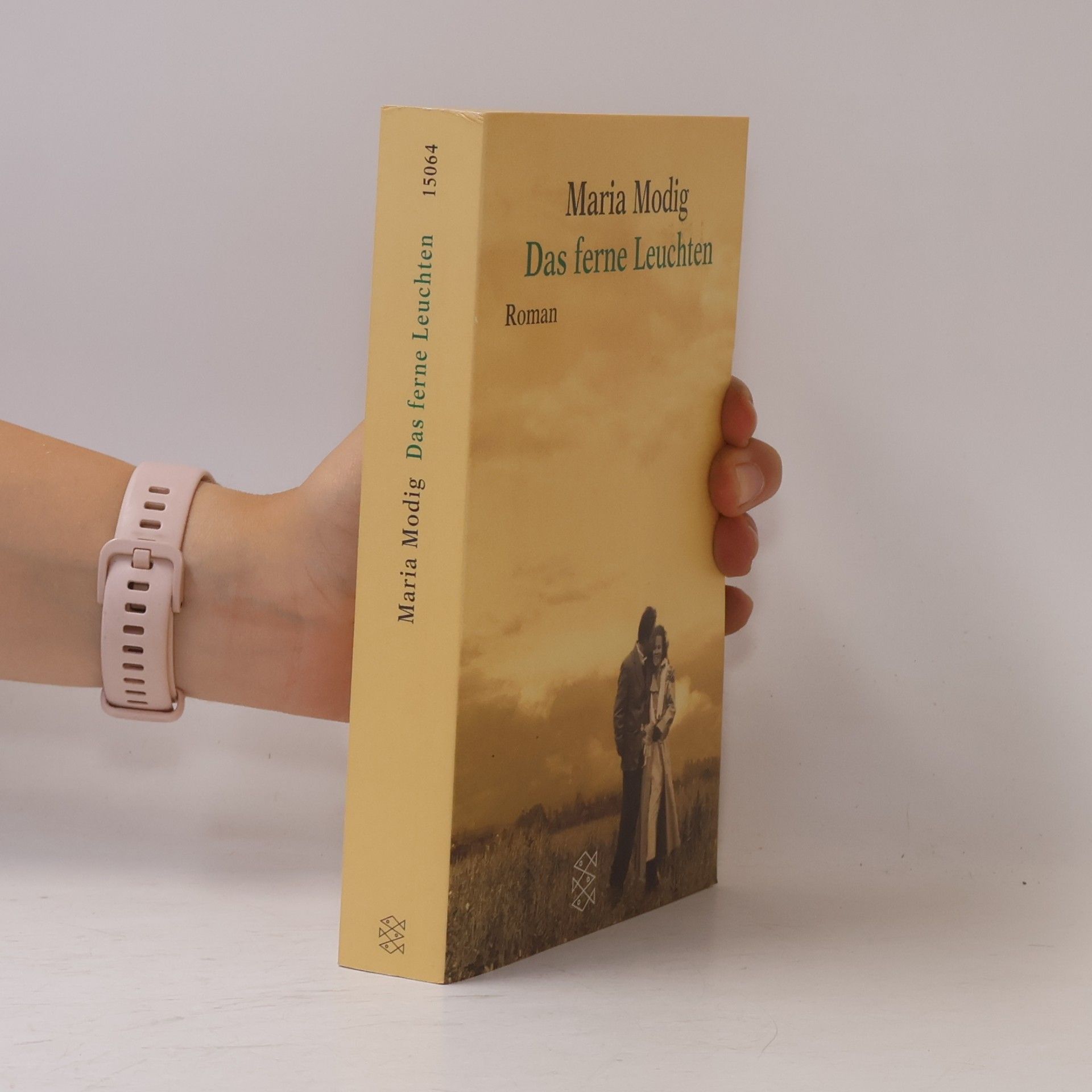 Maria Modig Das ferne Leuchten