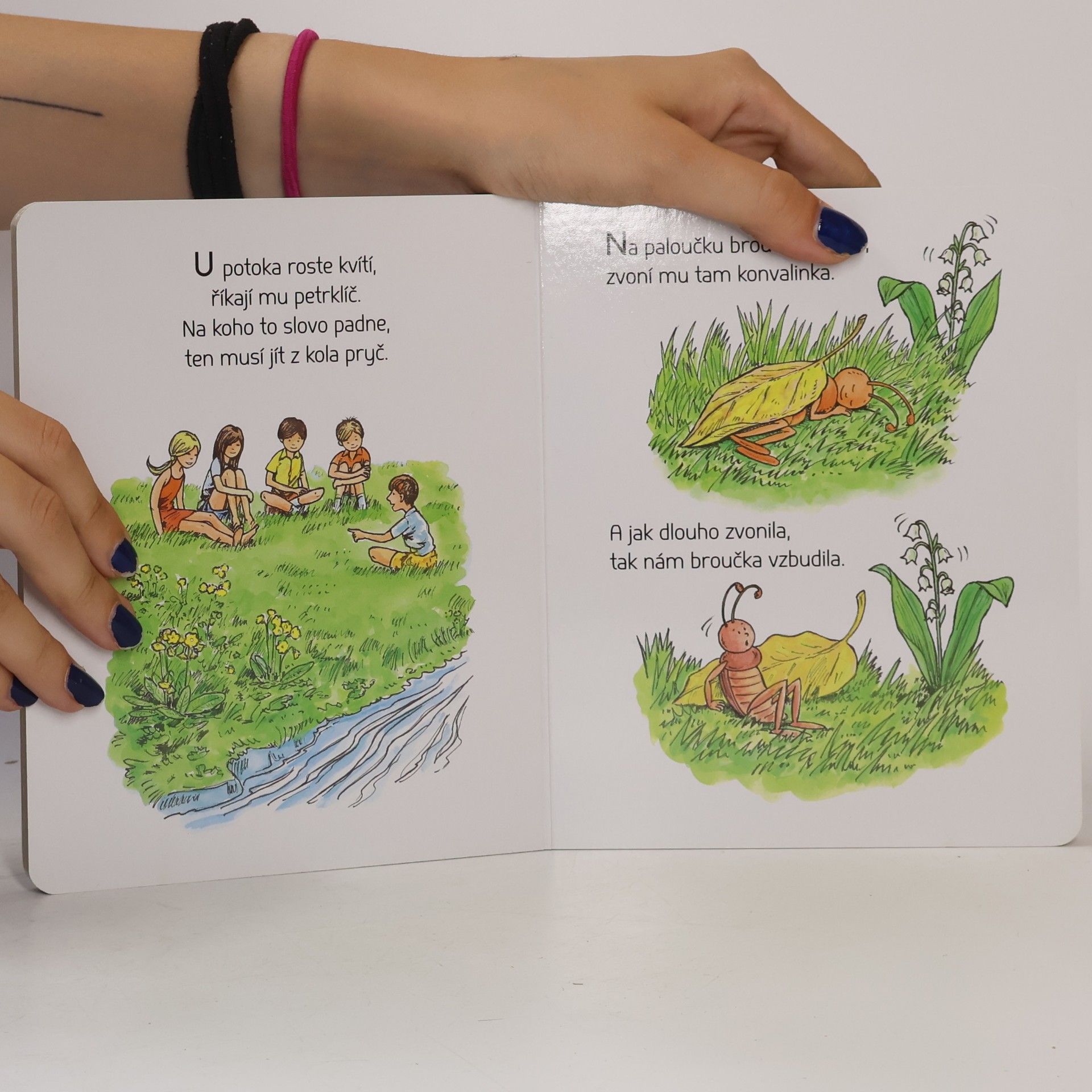 Roman Bureš Vařila myšička kašičku