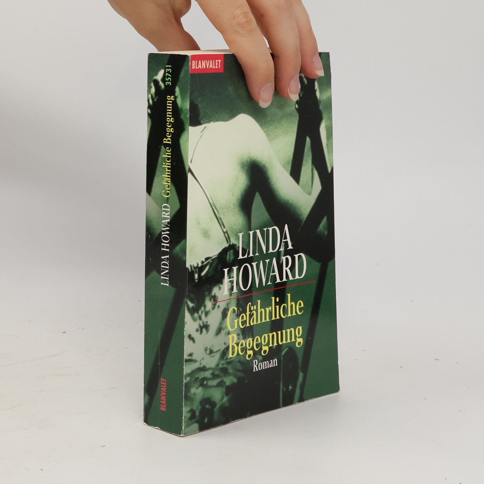 Linda Howard Gefährliche Begegnung