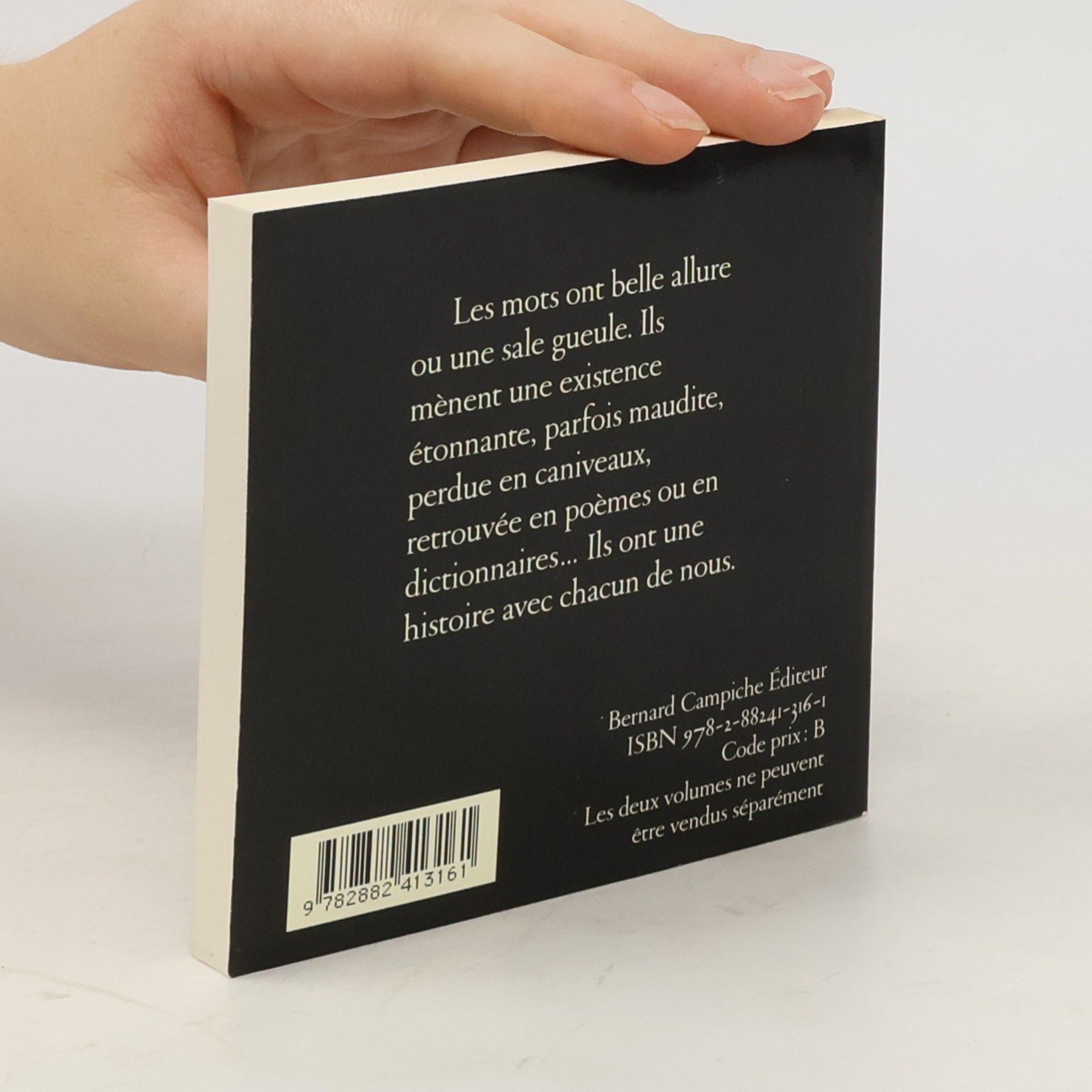 Éric Masserey Kaléidoscope : Suivi de Petit lexique d'homonymies insoli[en]tes