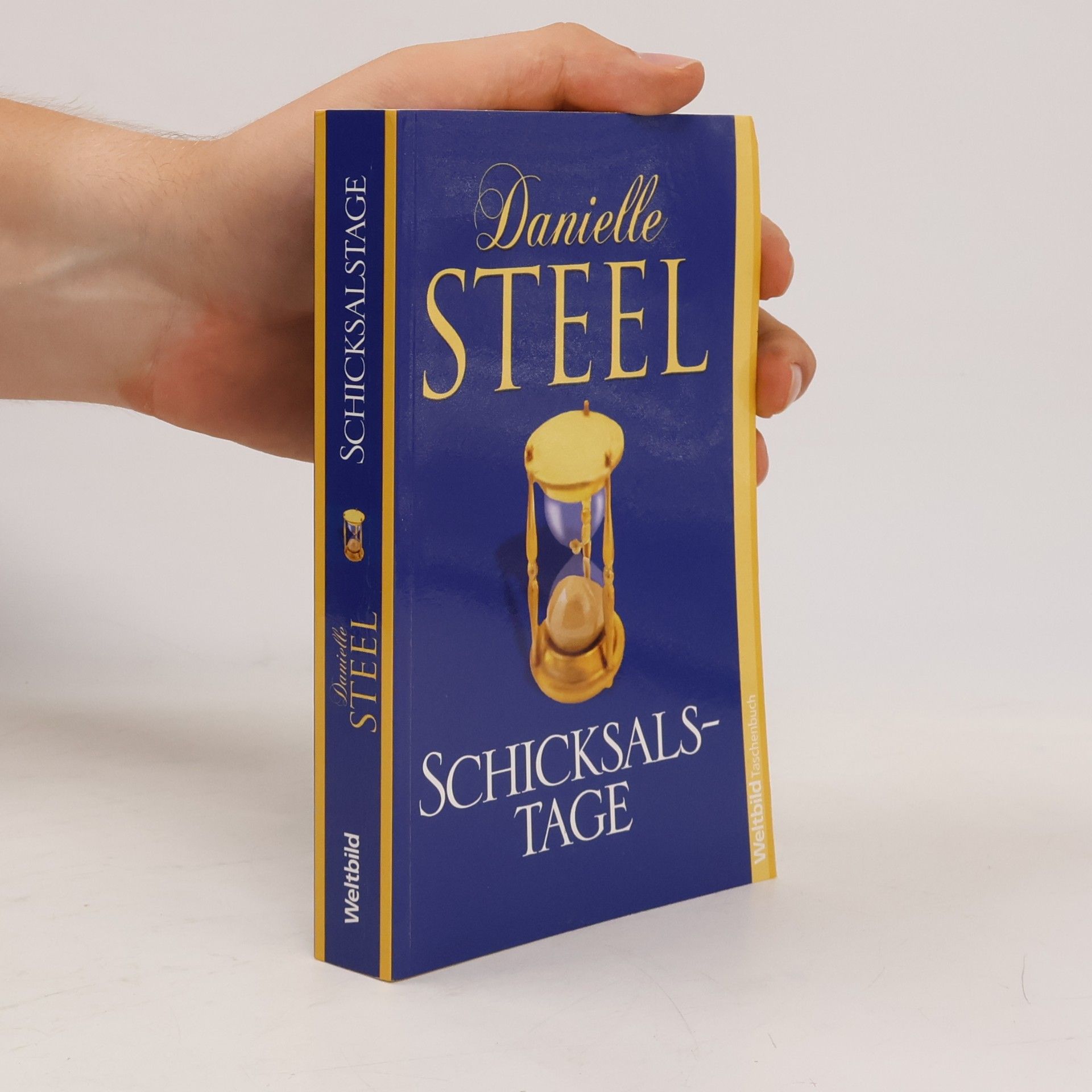 Danielle Steel Schicksalstage