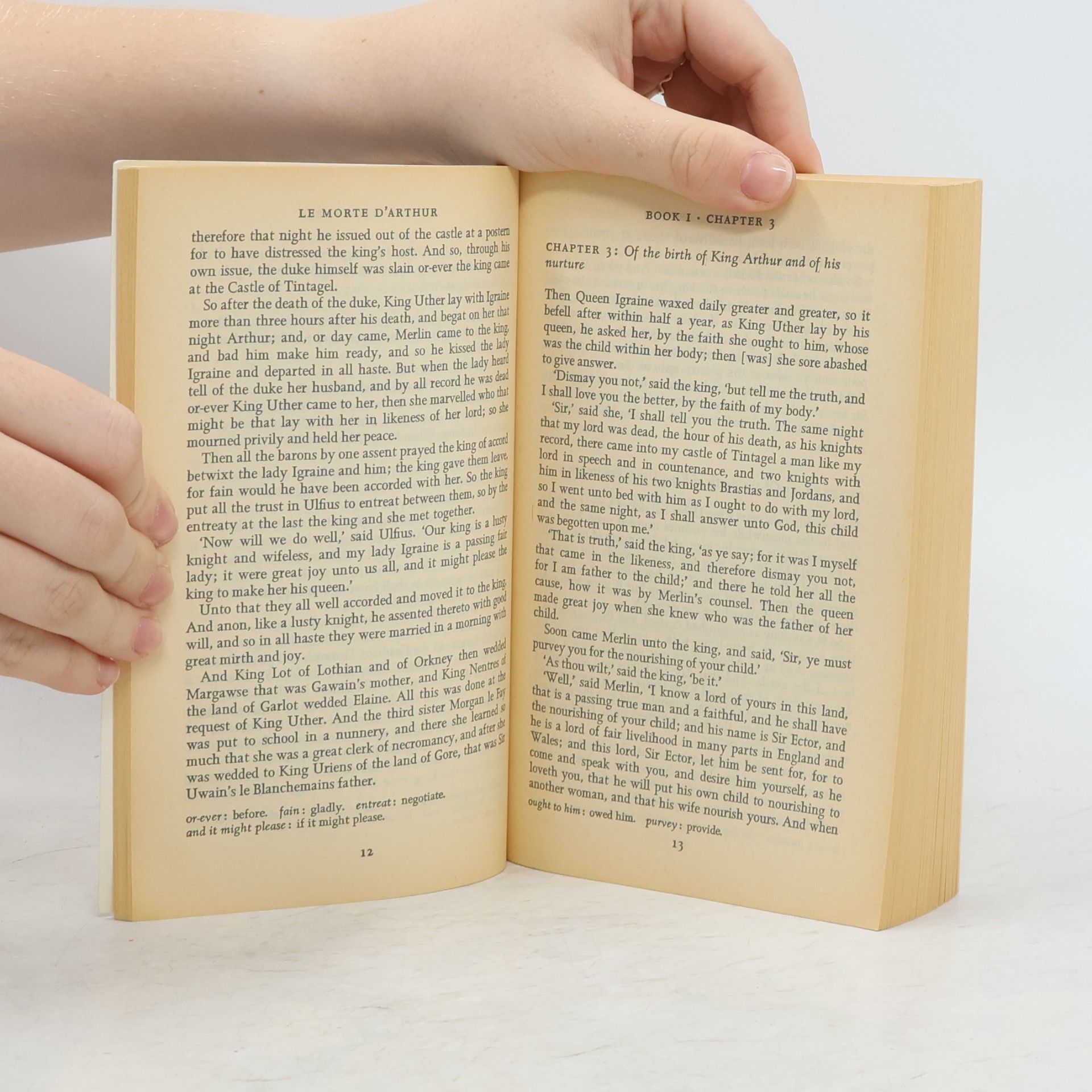 Thomas Malory Le morte d'Arthur, Volume I.