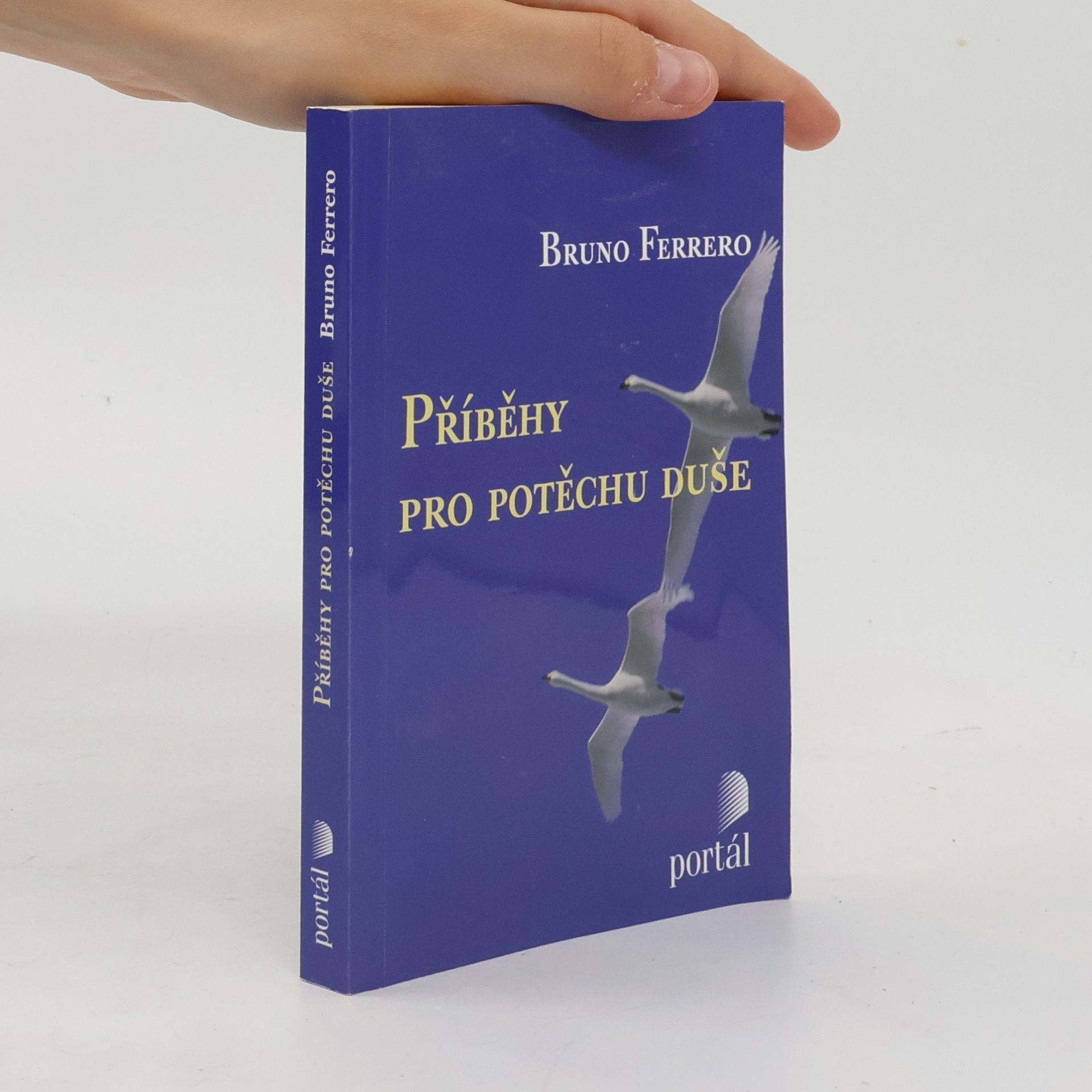 Bruno Ferrero Příběhy pro potěchu duše