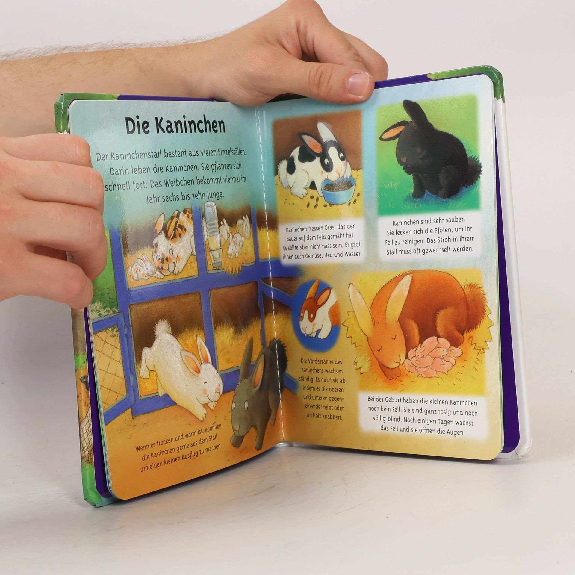 Émilie Beaumont Tiere auf dem Bauernhof