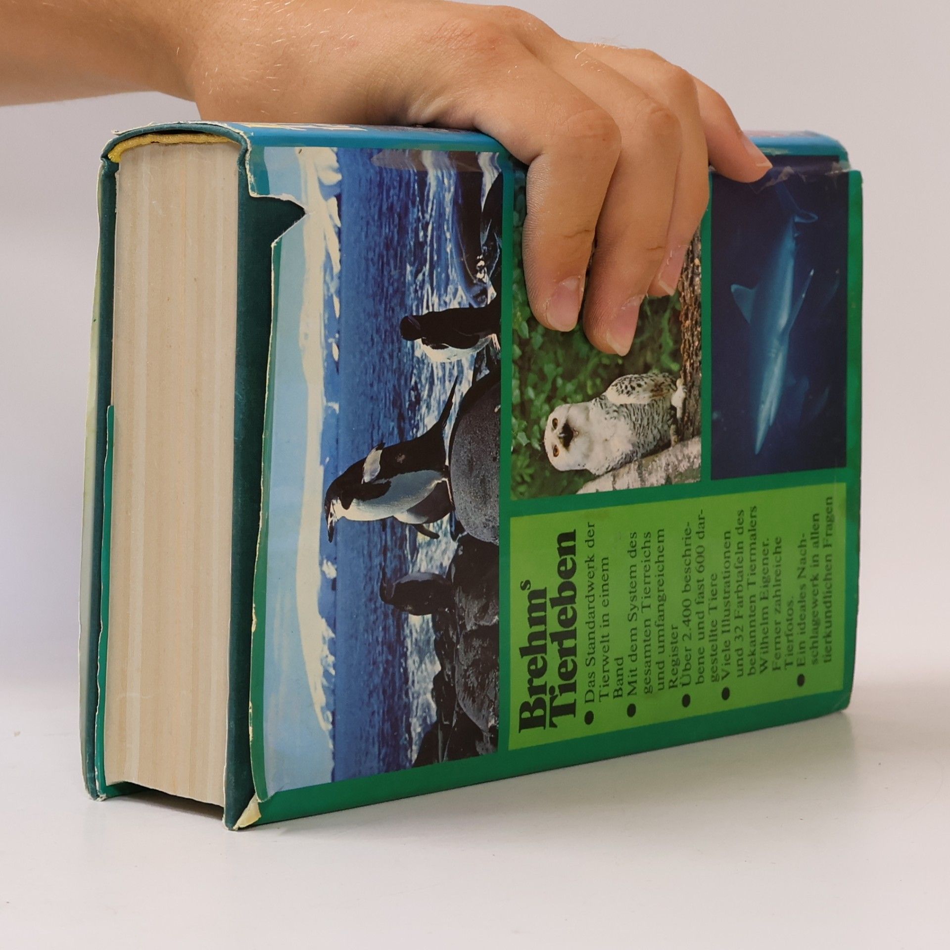 Autorenkollektiv Brehms Tierleben