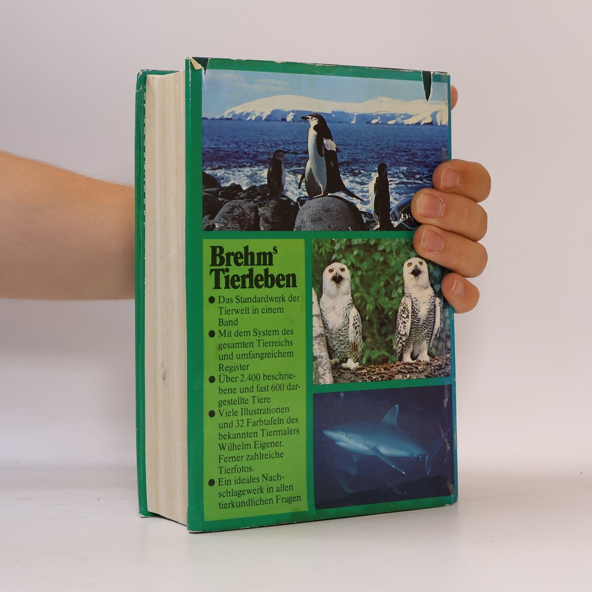 Autorenkollektiv Brehms Tierleben
