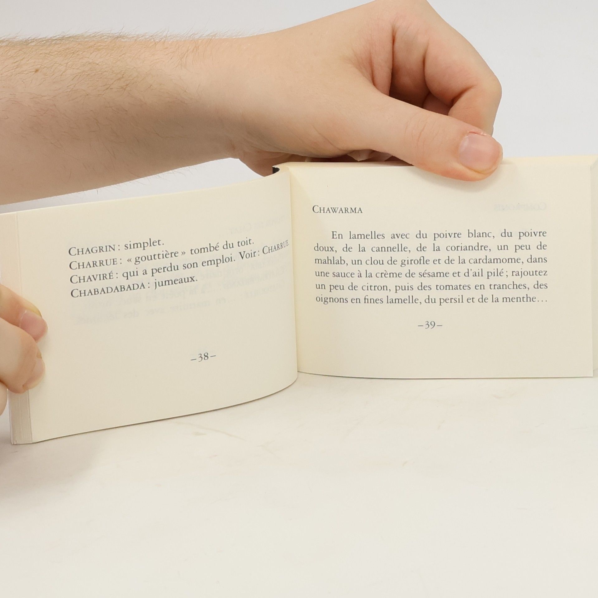 Éric Masserey Kaléidoscope : Suivi de Petit lexique d'homonymies insoli[en]tes