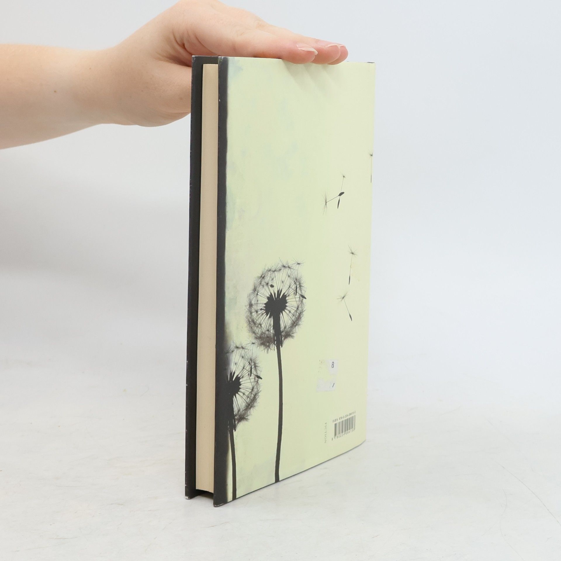 Julian Barnes The sense of an ending