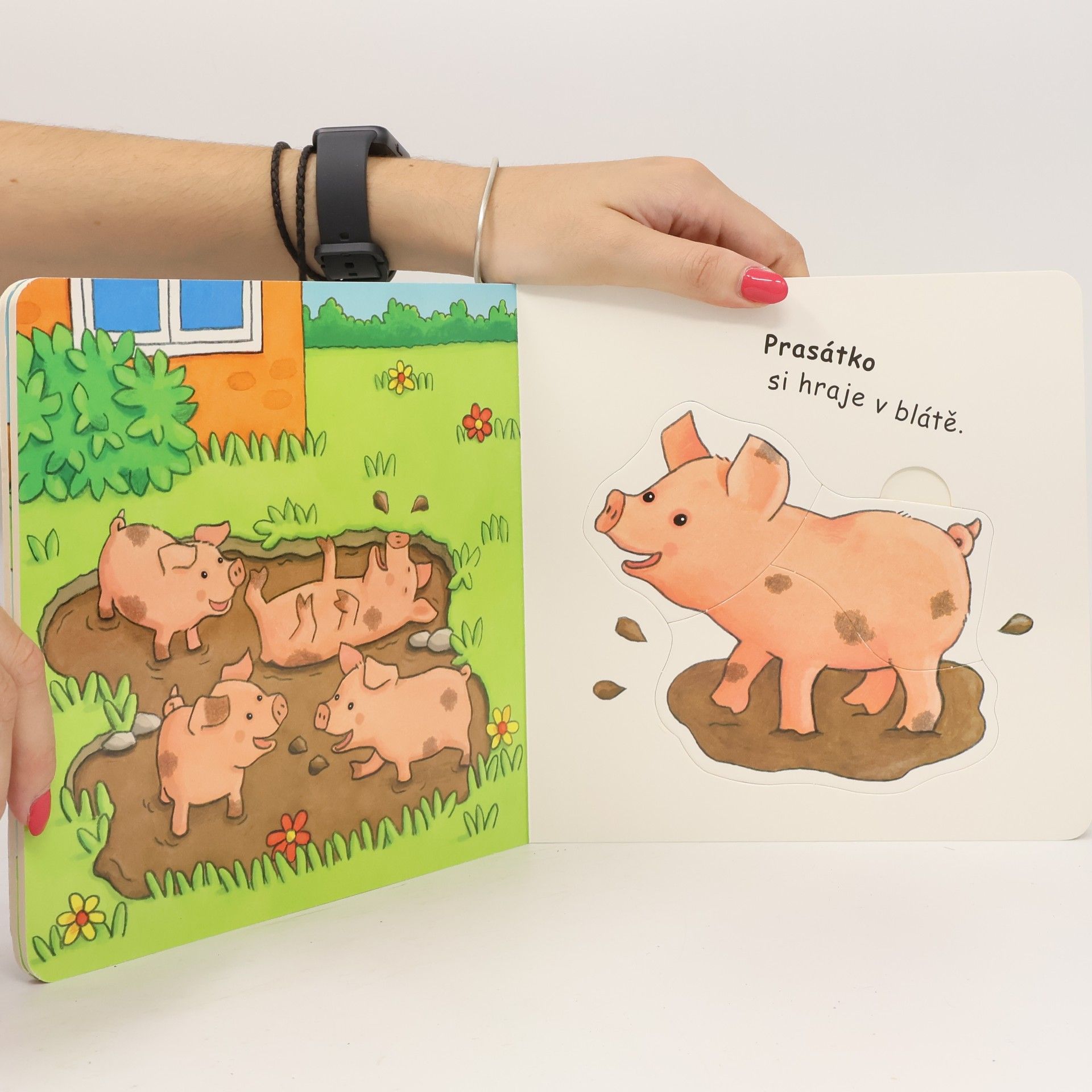 Vera Brüggemann Štěňátko: kniha s puzzle
