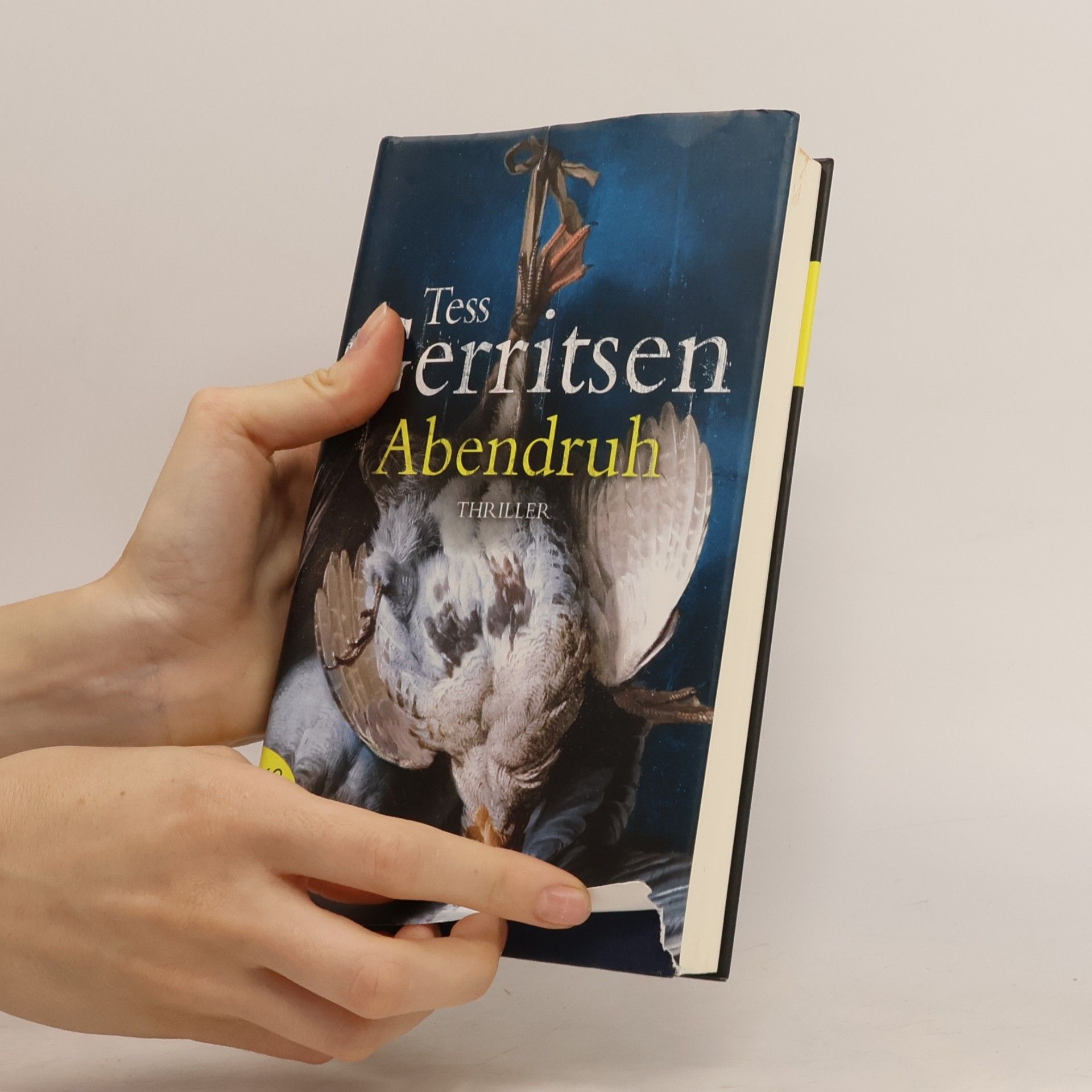 Tess Gerritsen Abendruh