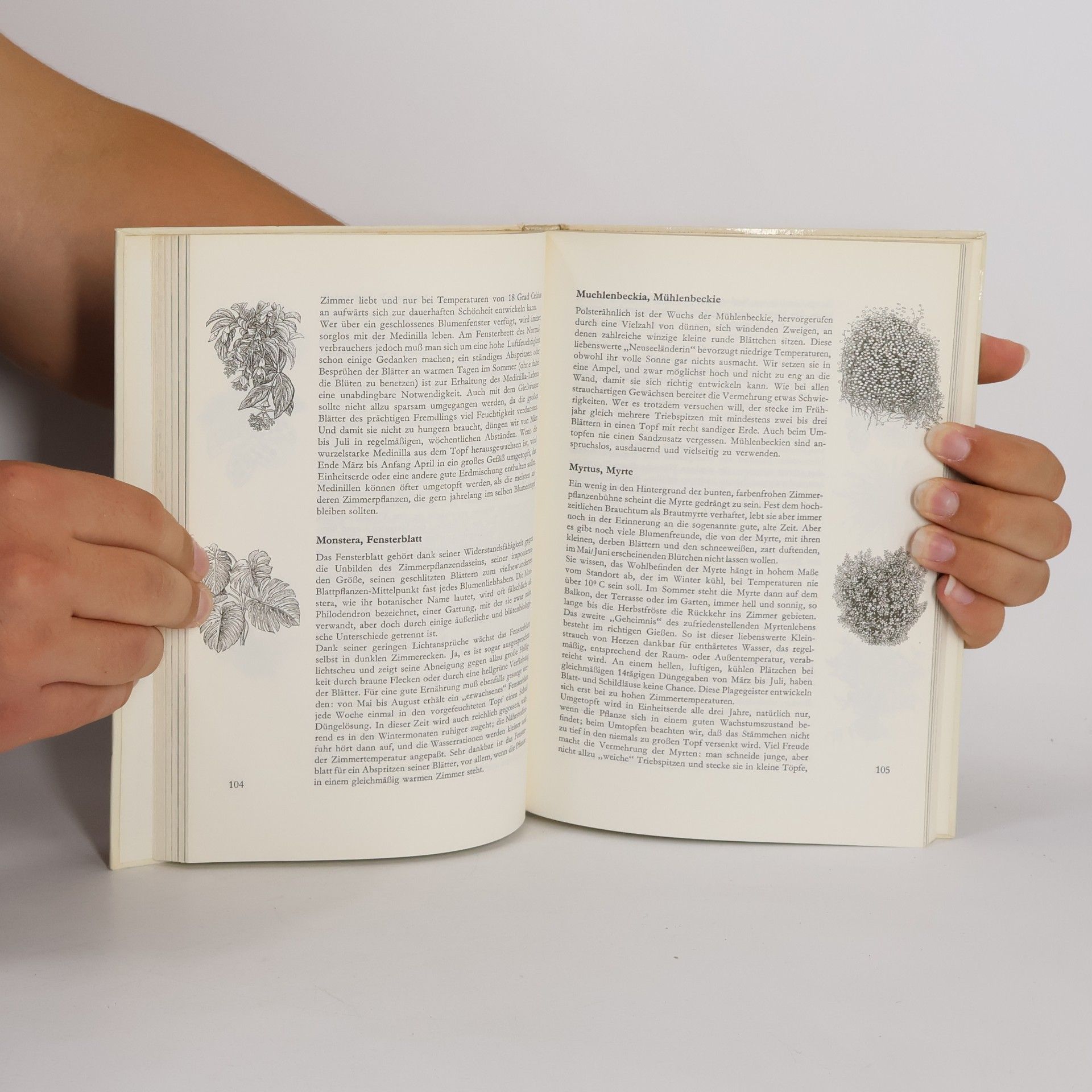 Karlheinz Jacobi Hausbuch der Zimmerpflanzen