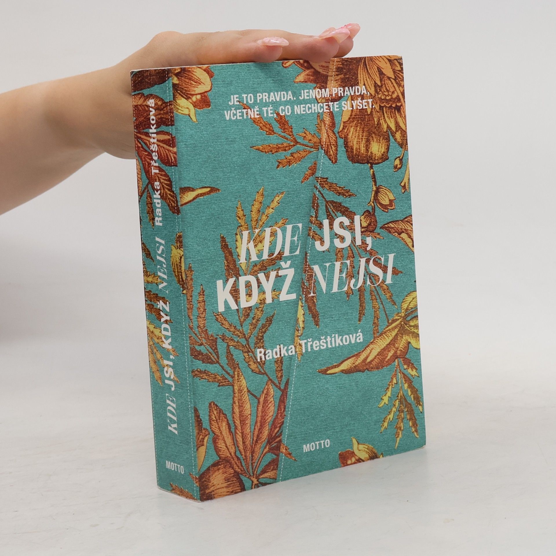 Radka Třeštíková Kde jsi, když nejsi