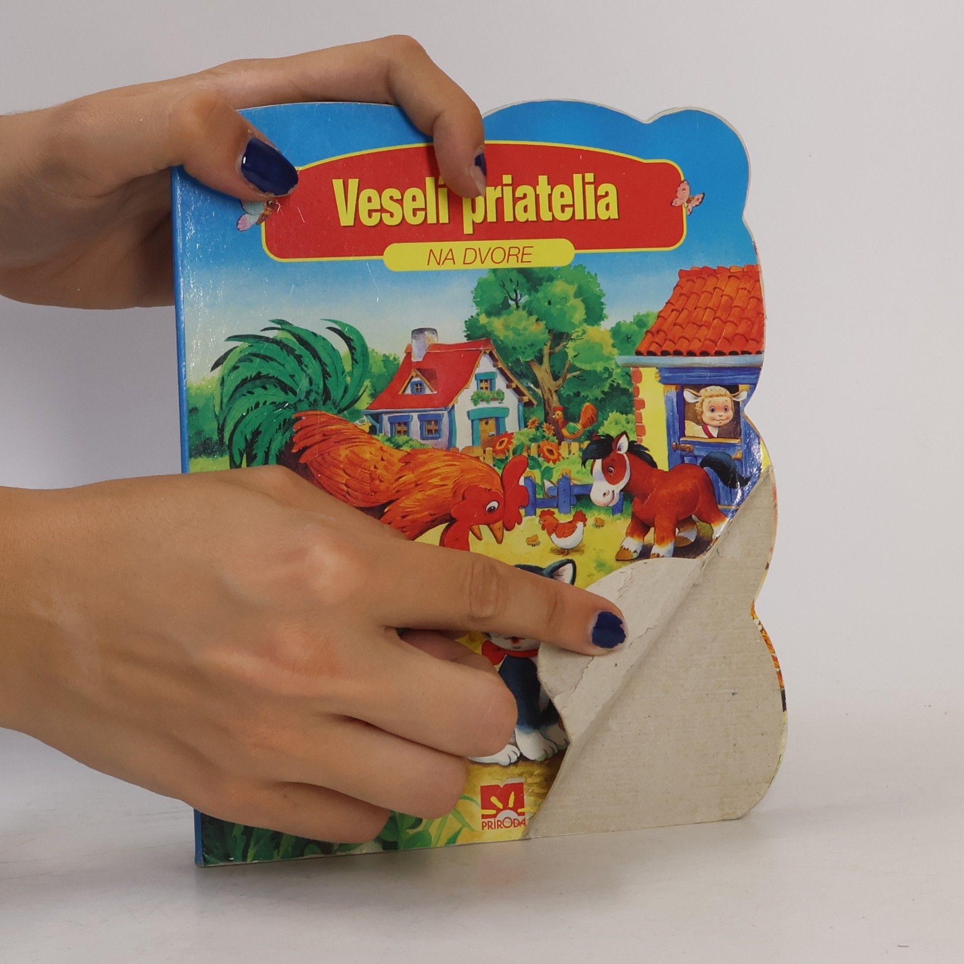 Urszula Kozłowska Veselí priatelia. Na dvore