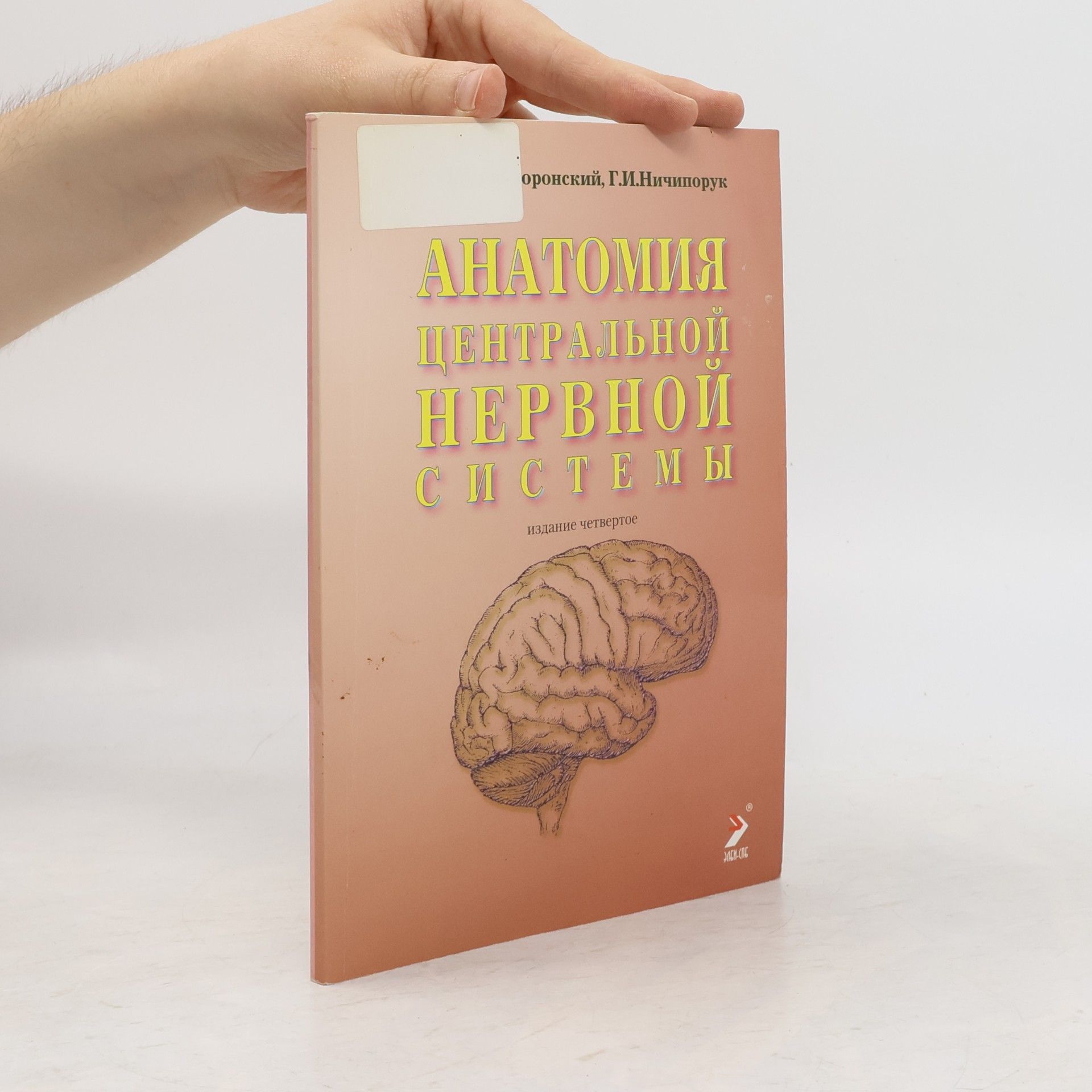 Г.И. Ничипорук Анатомия центральной нервной системы (краткий курс)