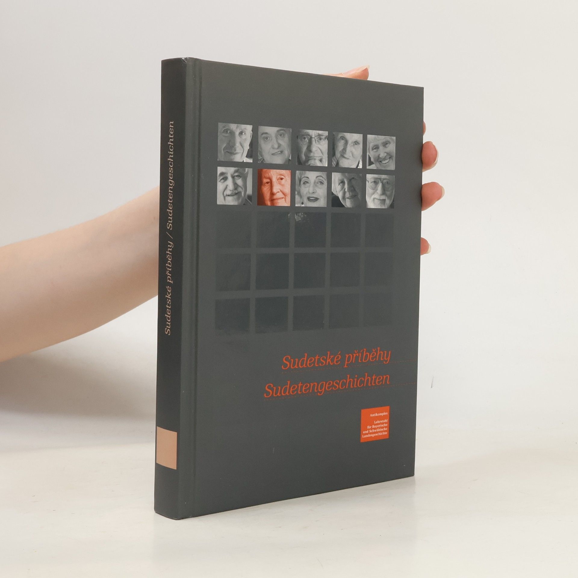 Various authors Sudetské příběhy / Sudetengeschichten