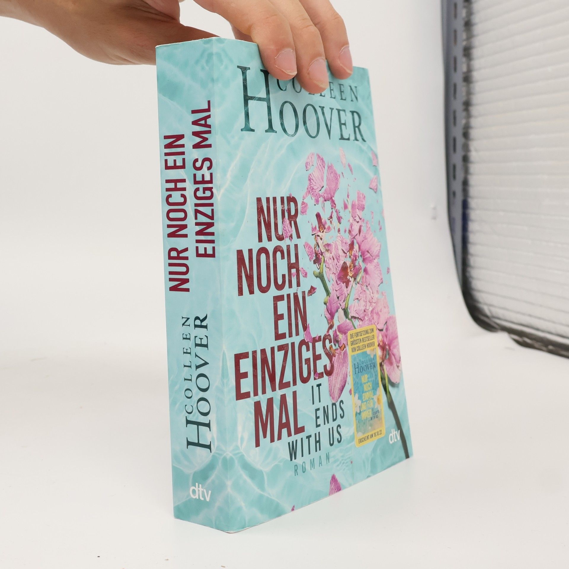 Colleen Hoover Nur noch ein einziges Mal