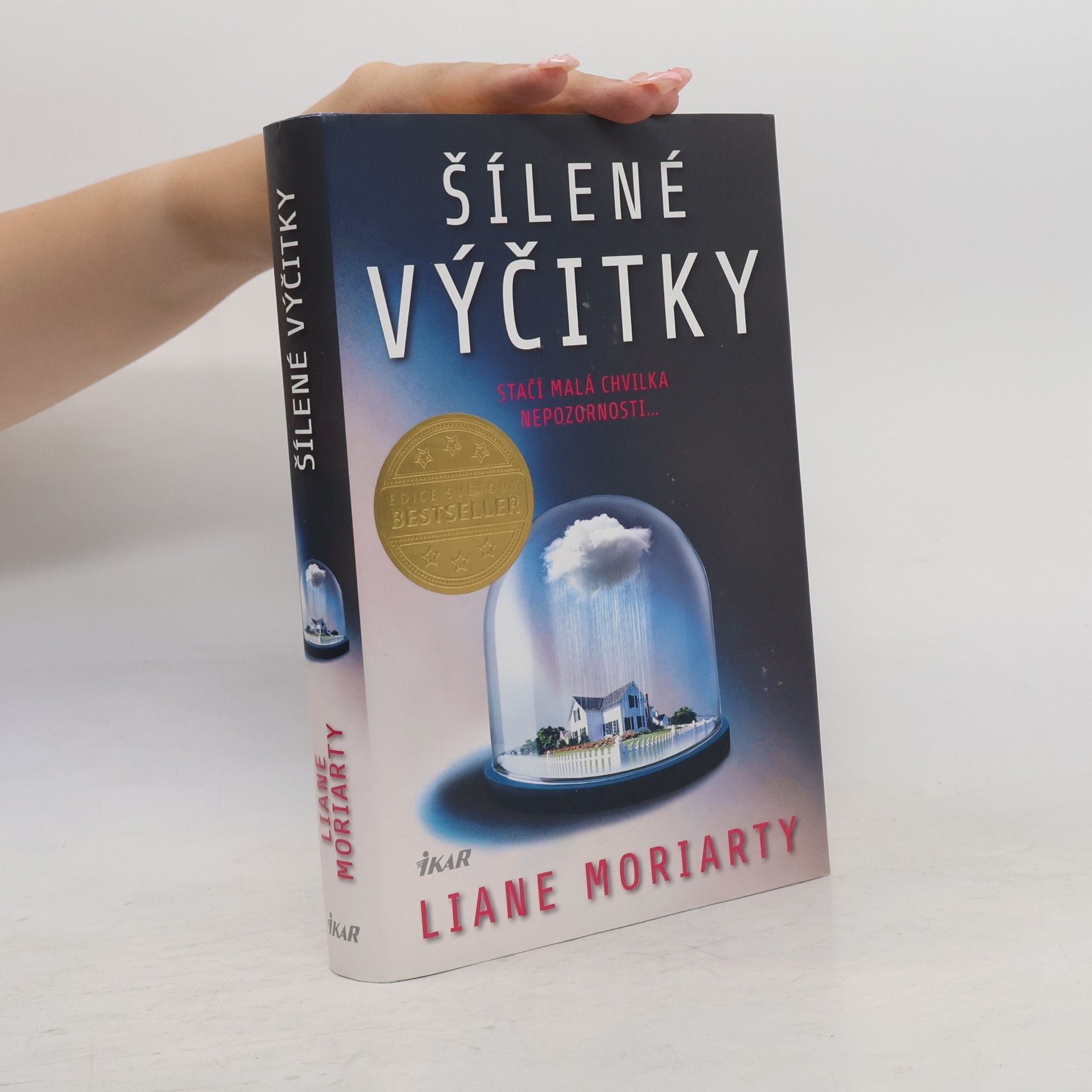 Liane Moriarty Šílené výčitky