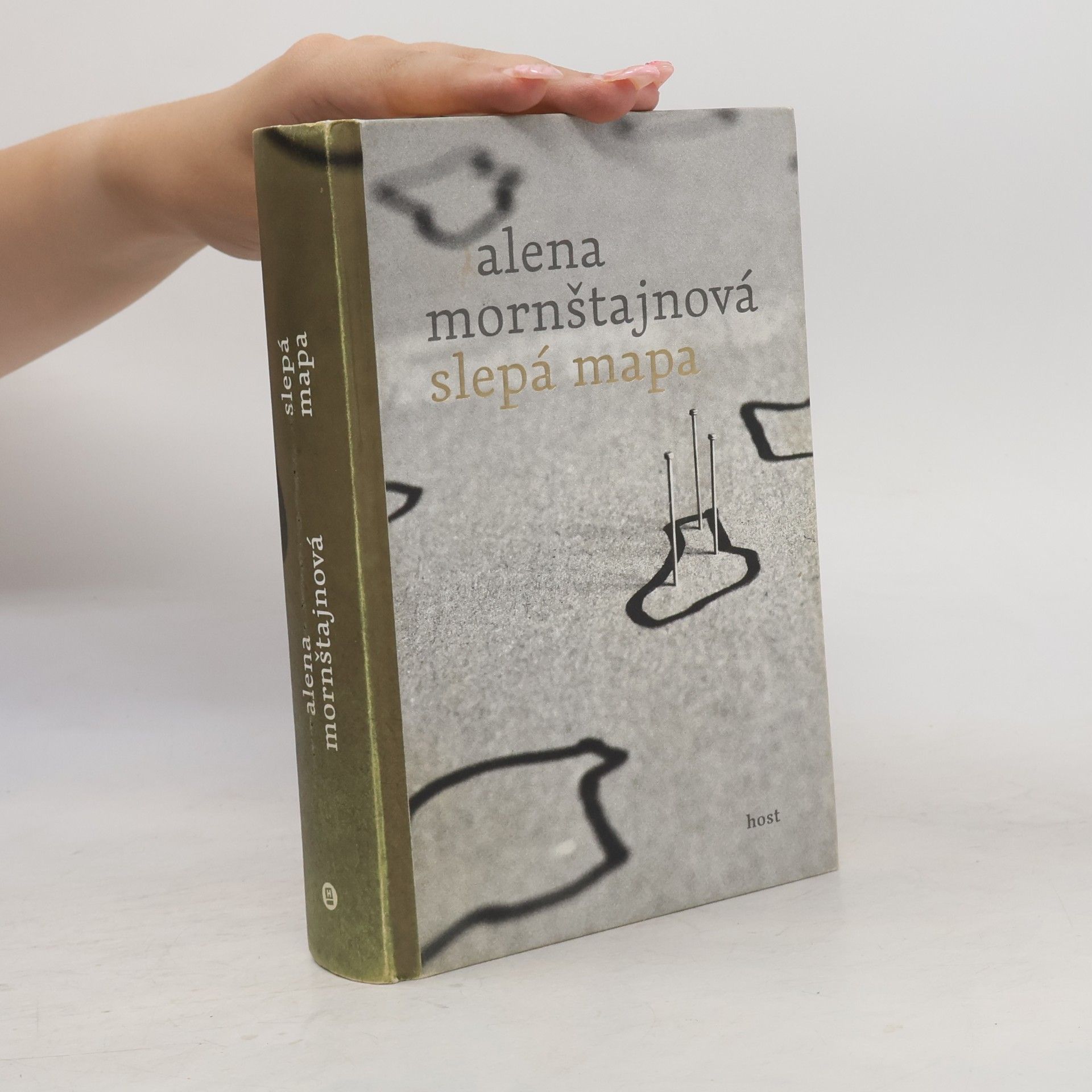 Alena Mornštajnová Slepá mapa