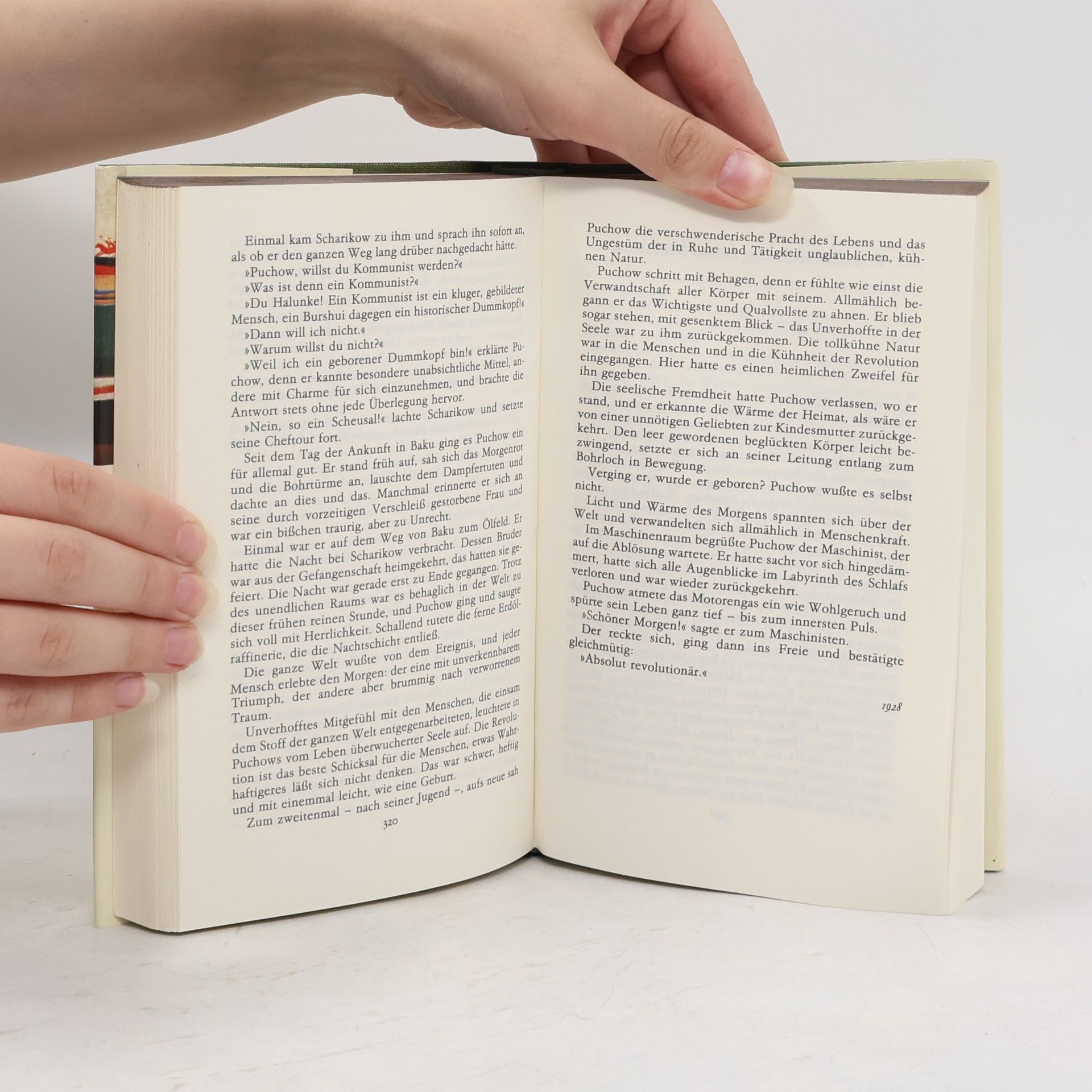 Andrej Platonov Frühe Novellen Die Epiphaner Schleusen