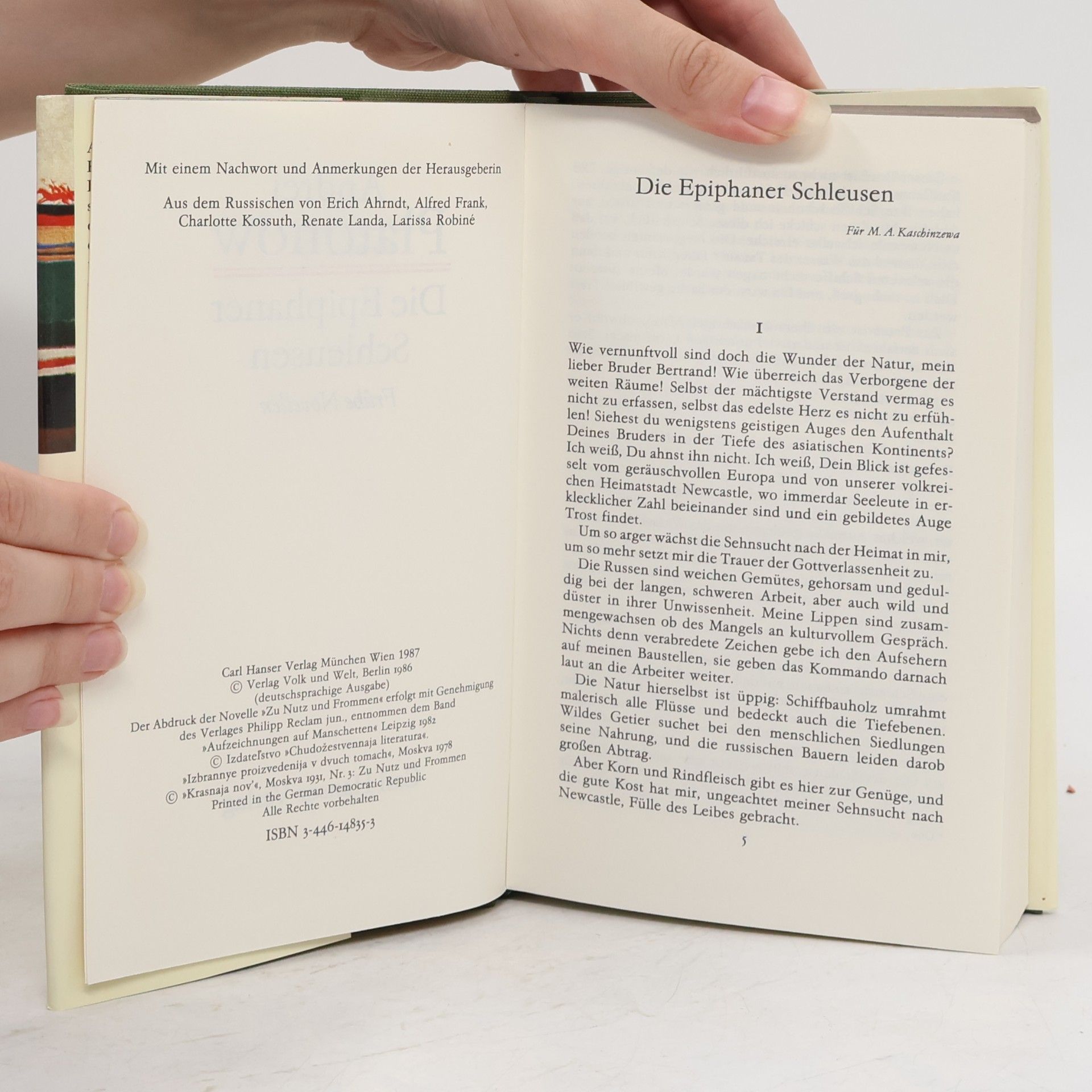 Andrej Platonov Frühe Novellen Die Epiphaner Schleusen