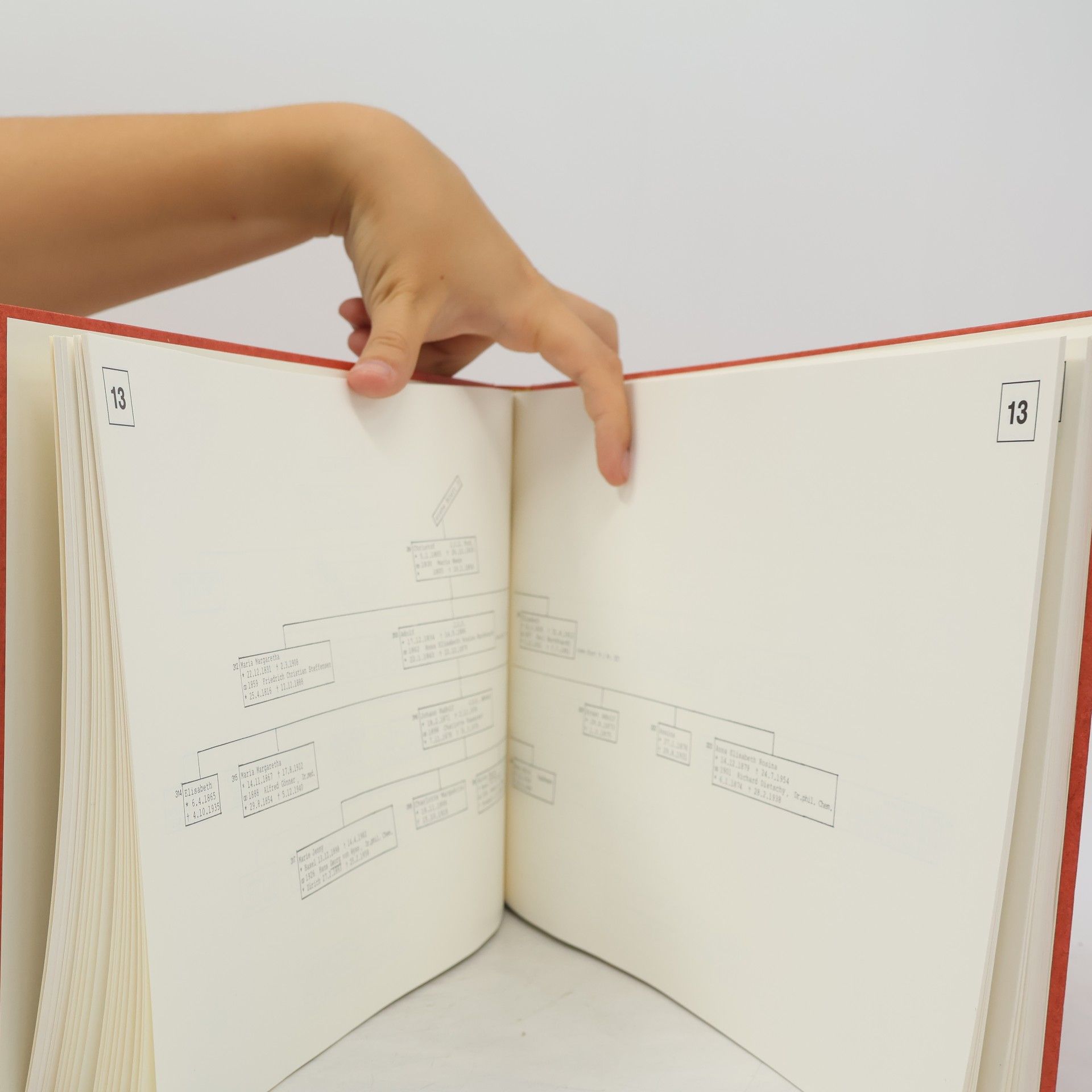 Annette Burckhardt-Leupin Familie Burckhardt. Stammbaum 1800–1987. Mit Index