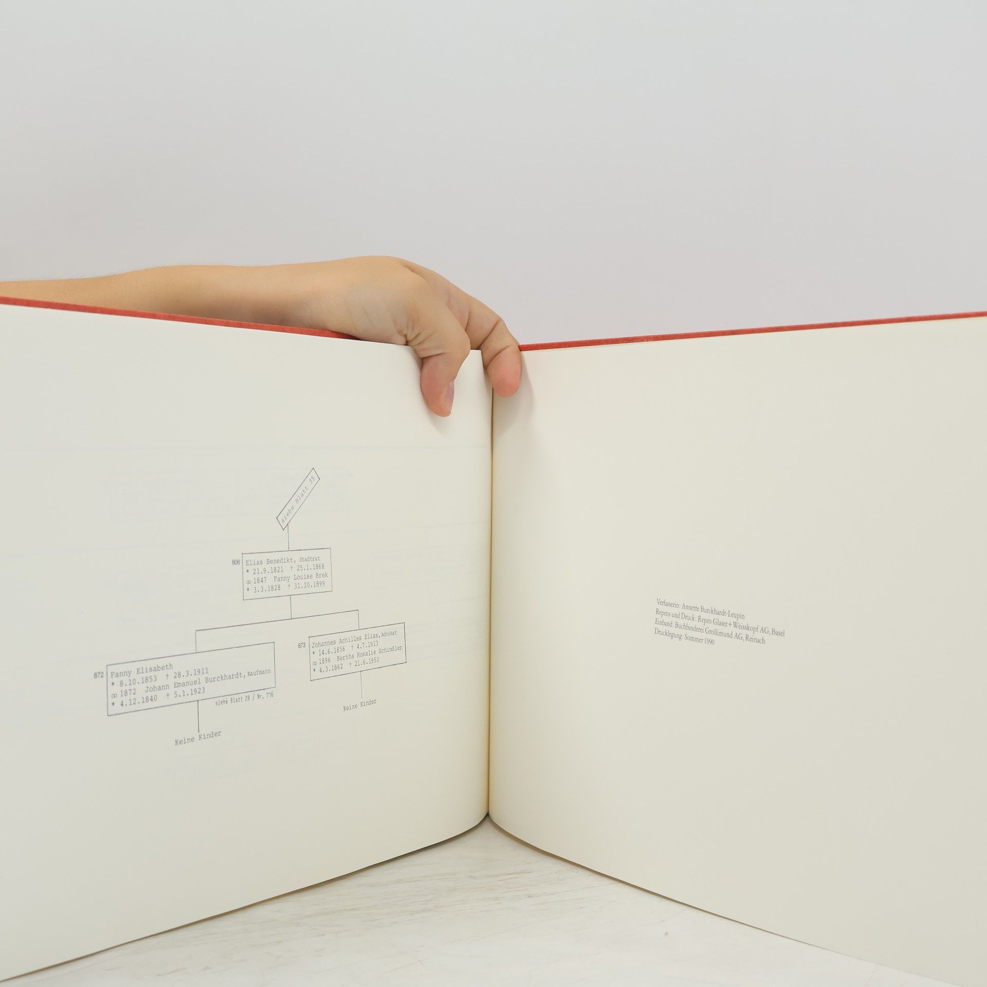 Annette Burckhardt-Leupin Familie Burckhardt. Stammbaum 1800–1987. Mit Index