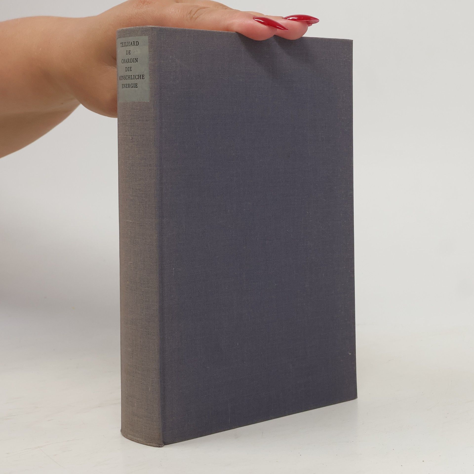 Teilhard de Chardin Die menschliche Energie