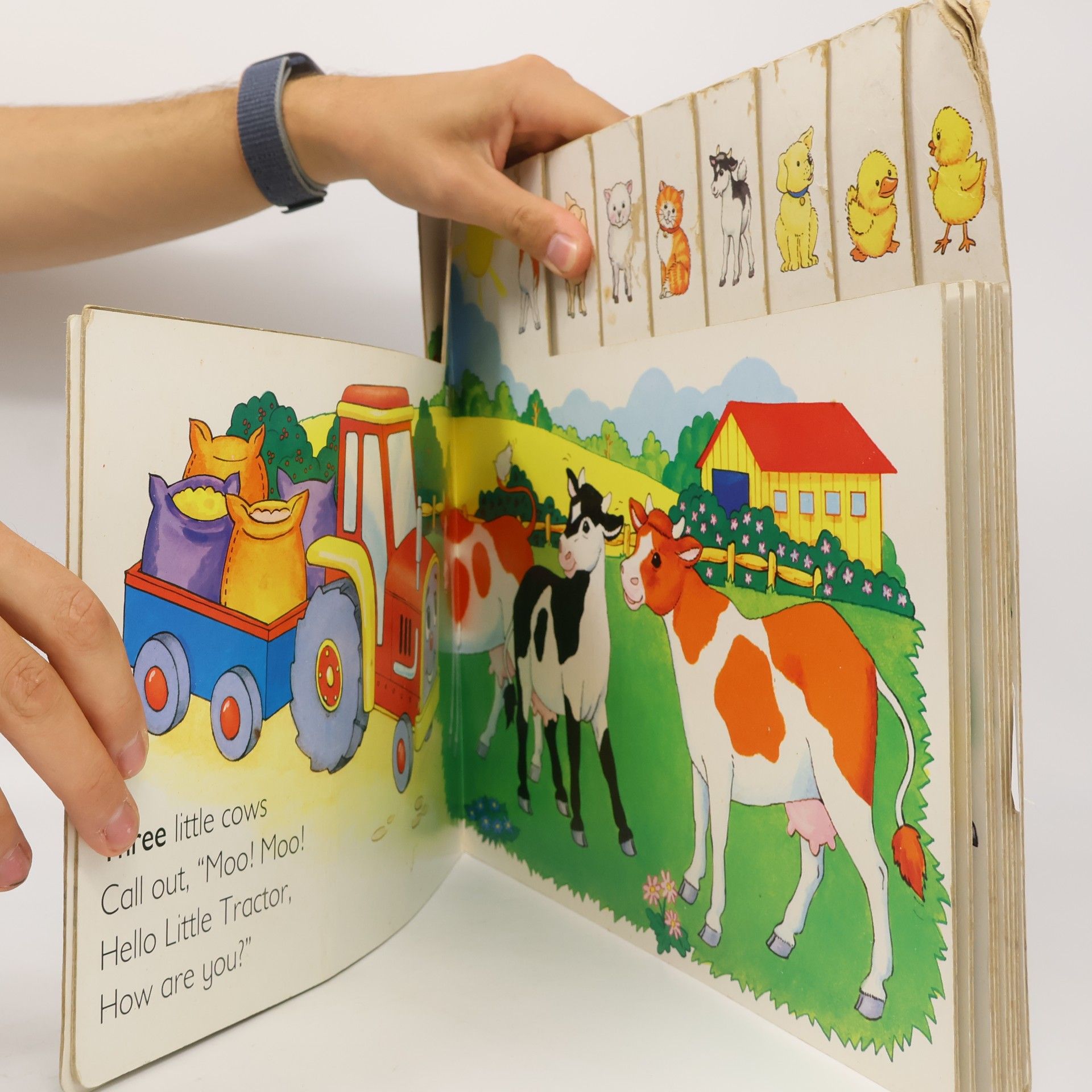 Fiona Redmond Farmyard Counting Book