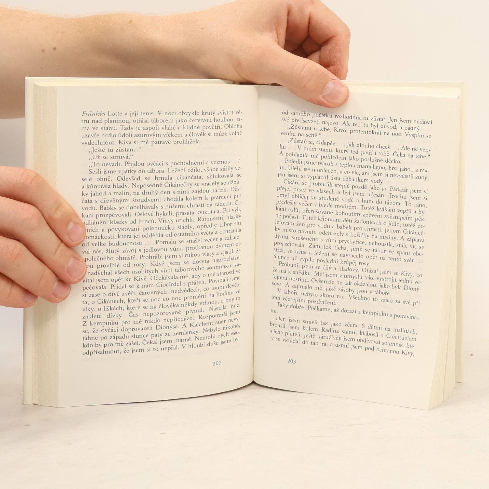 Autorenkollektiv Pět rumunských novel