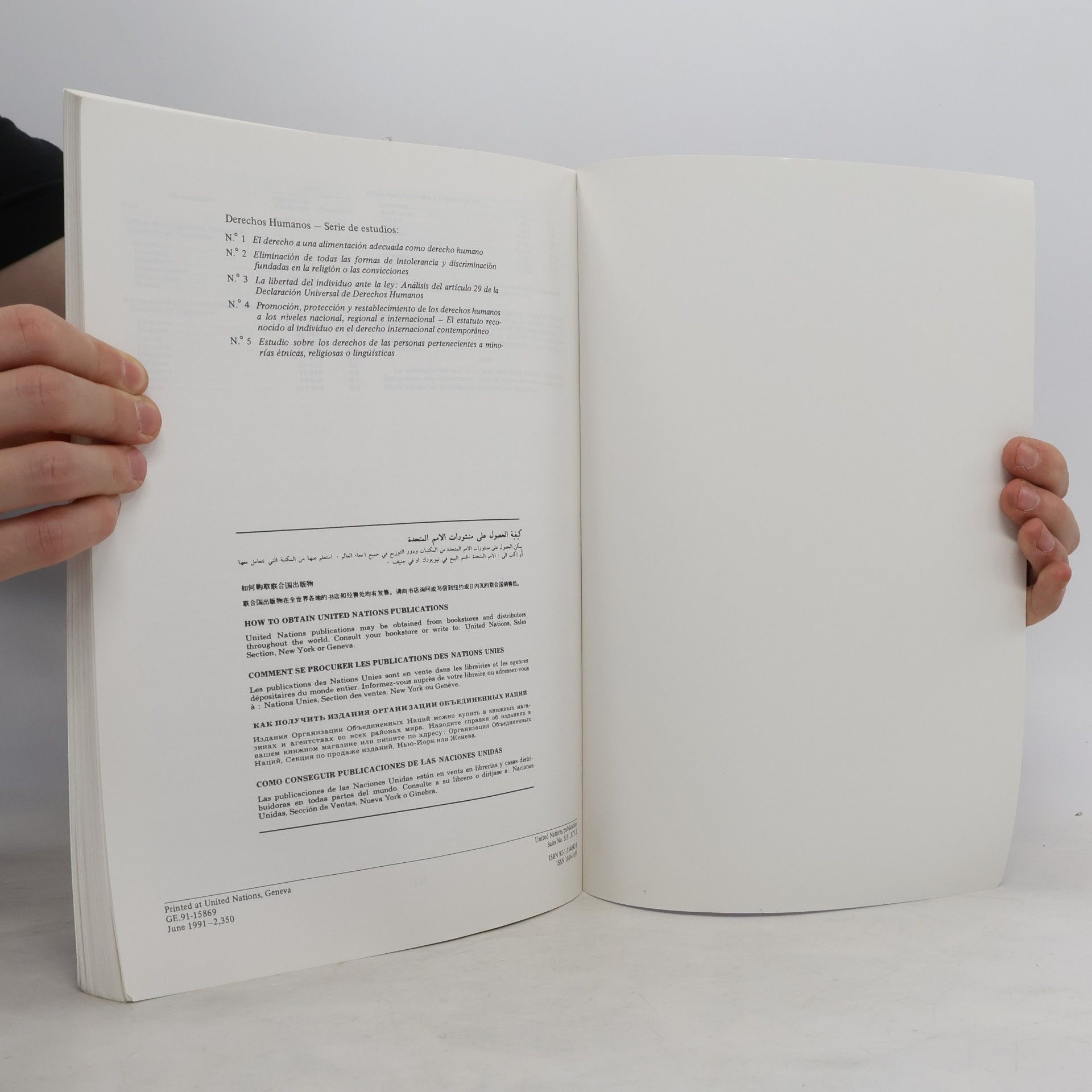 Autorenkollektiv Estudio sobre los derechos de las personas pertenecientes a minorías étnicas, religiosas o lingüísticas