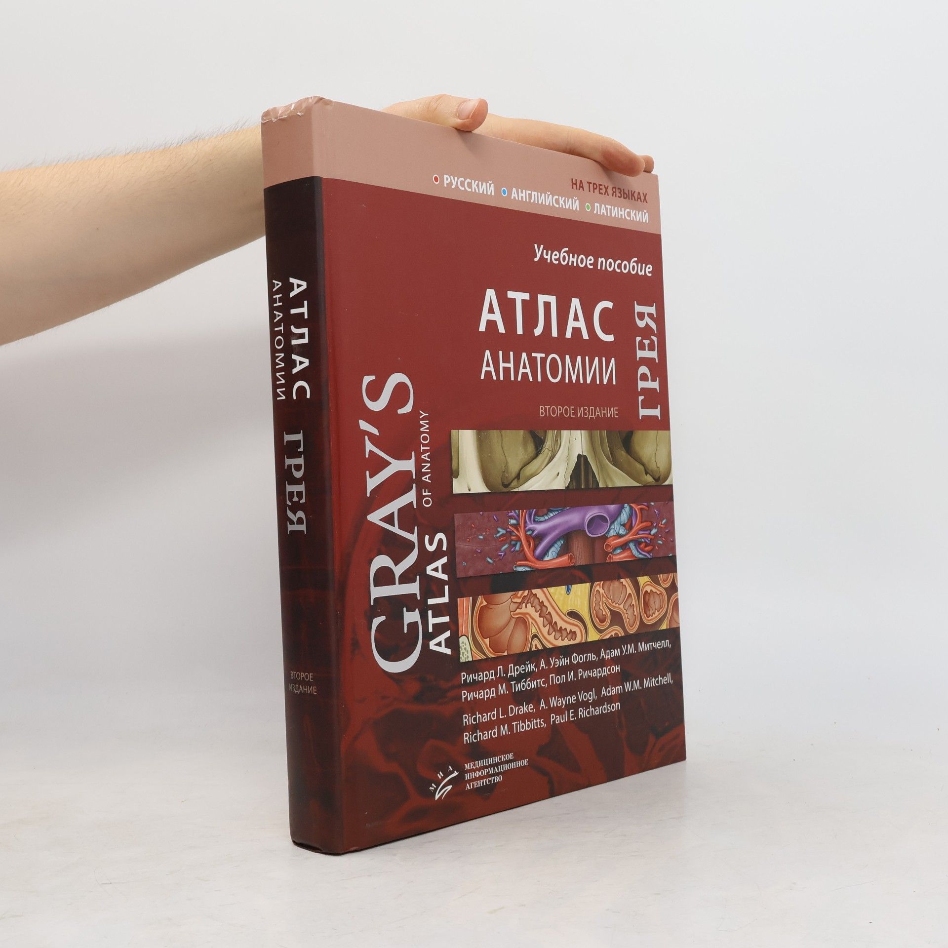 Атлас анатомии Грея / Gray's Atlas of Anatomy