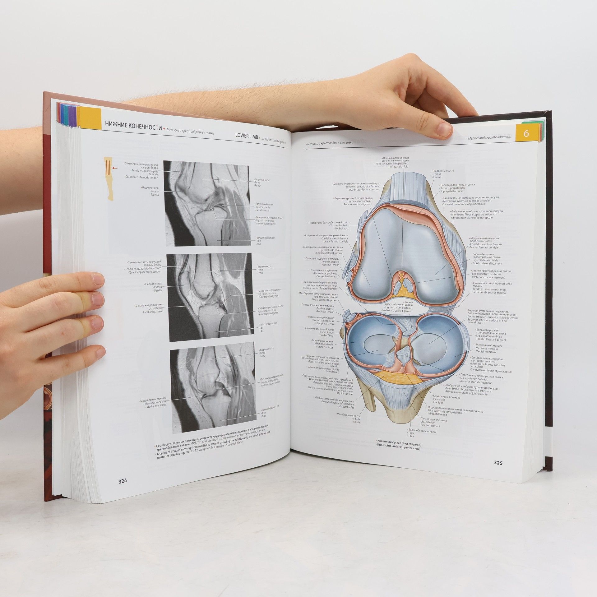 Richard L. Drake Атлас анатомии Грея / Gray's Atlas of Anatomy
