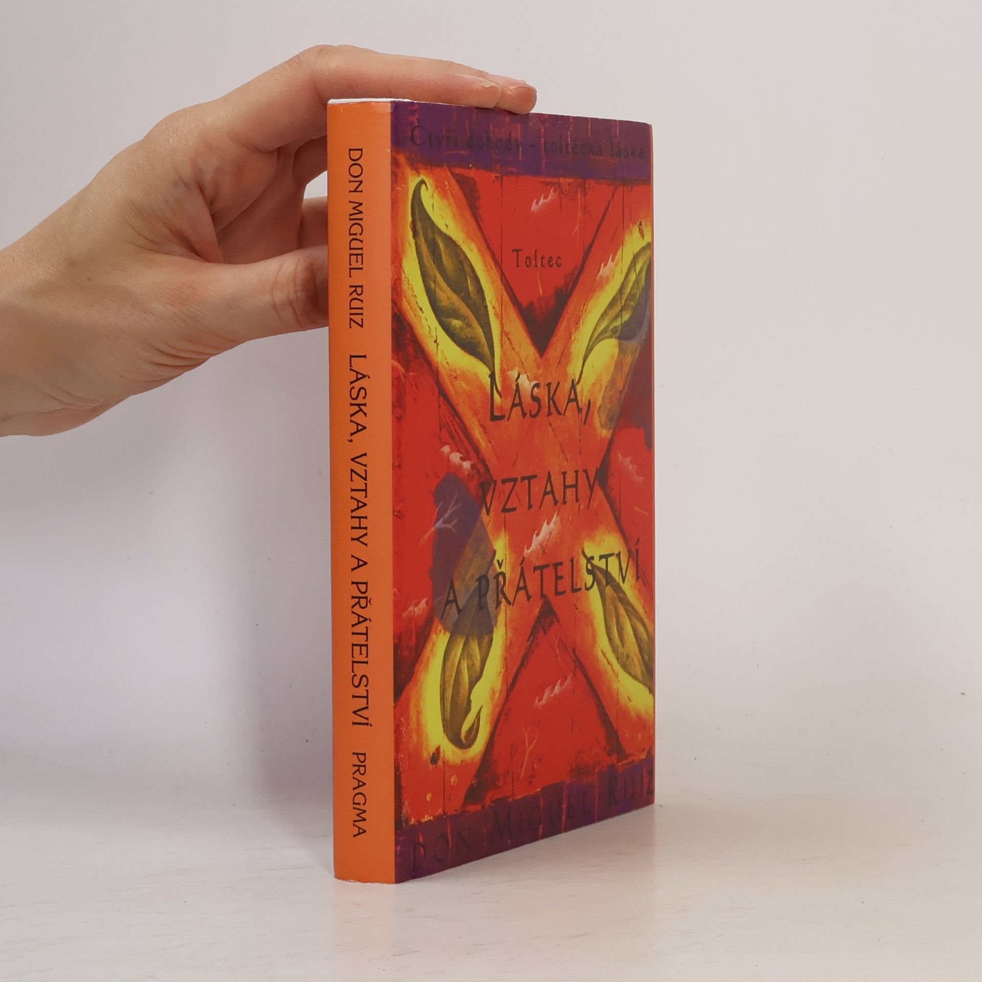 Don Miguel Ruiz Láska, vztahy a přátelství
