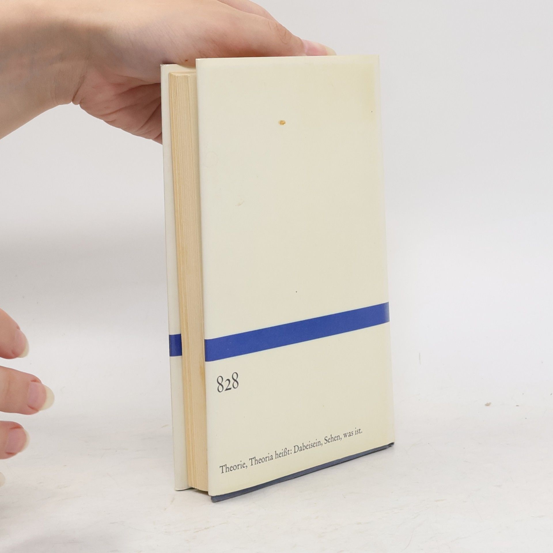 Hans-Georg Gadamer Lob der Theorie