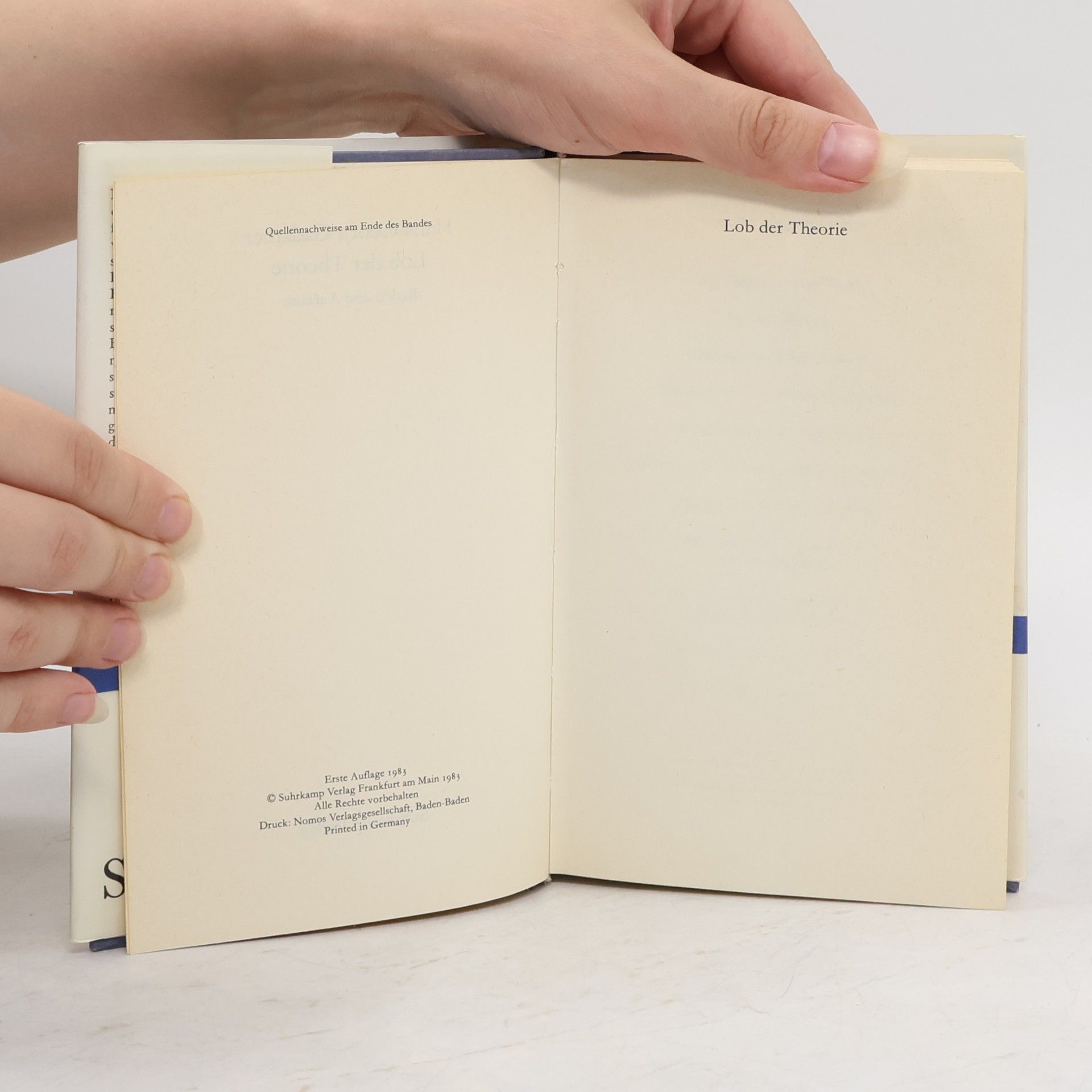 Hans-Georg Gadamer Lob der Theorie