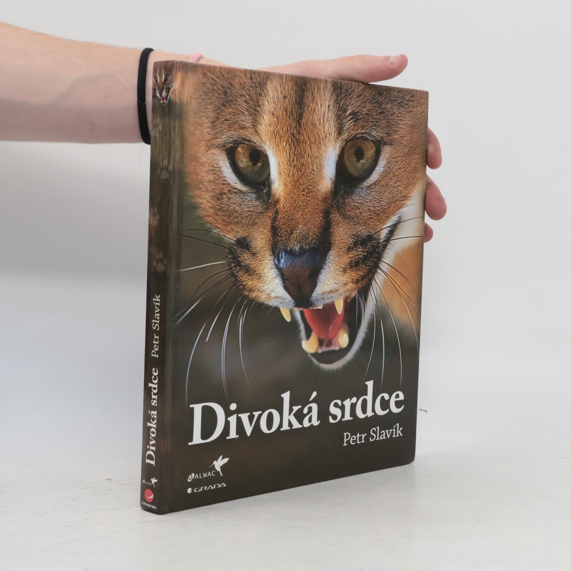 Petr Slavík Divoká srdce