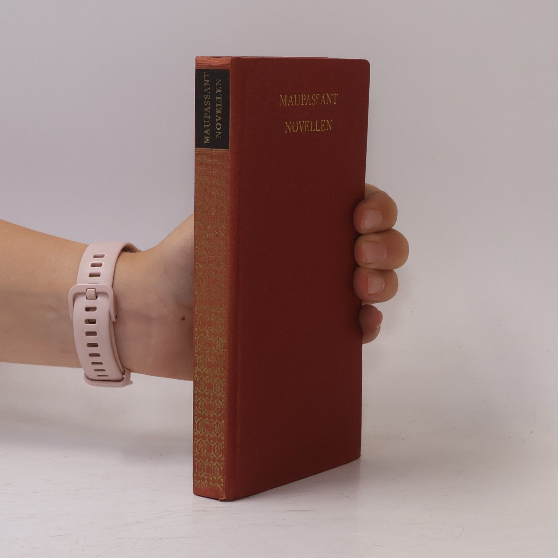 Guy de Maupassant Novellen