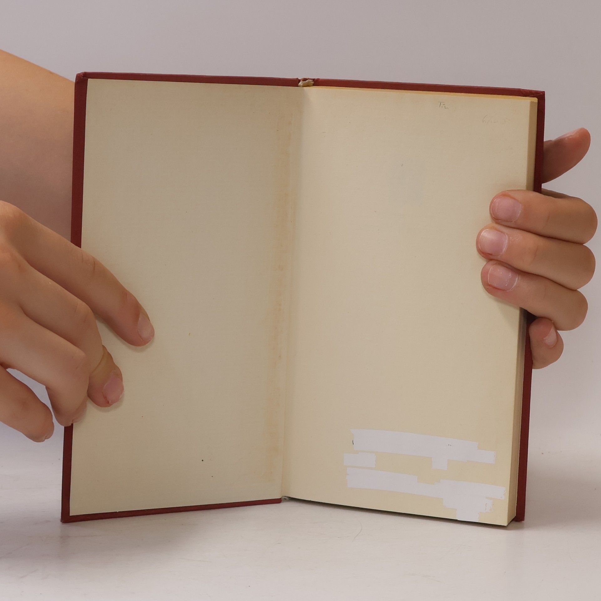 Guy de Maupassant Novellen