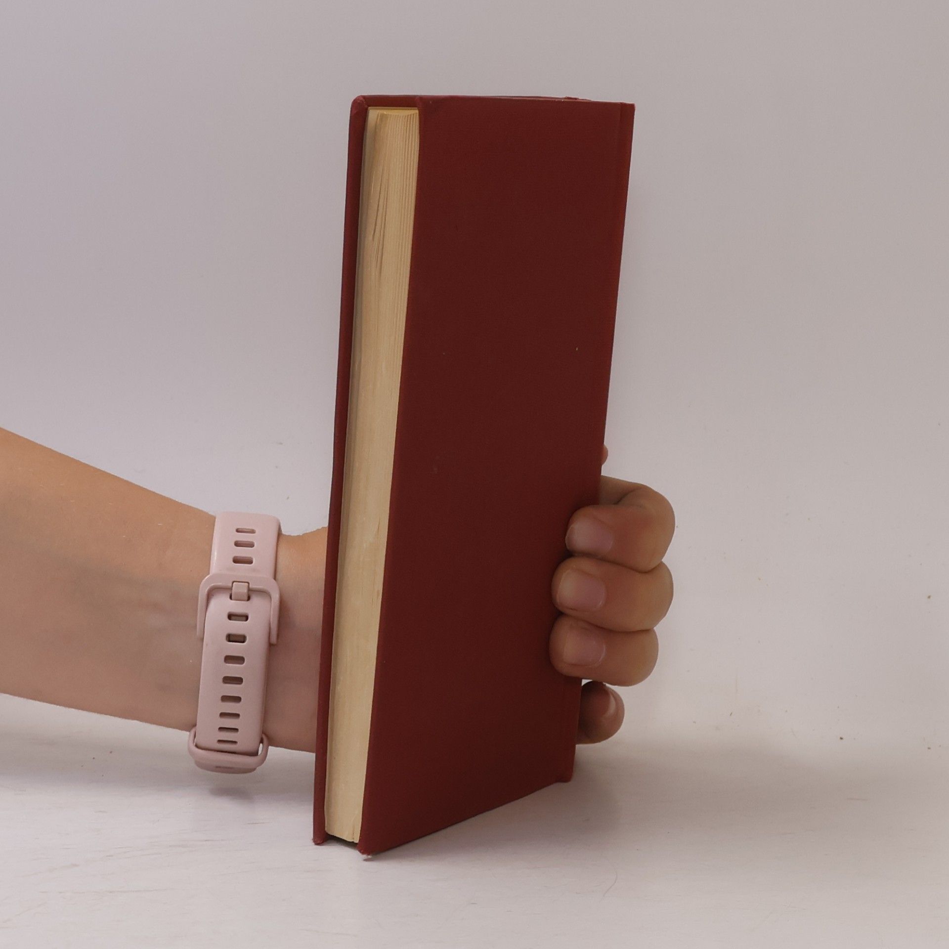 Guy de Maupassant Novellen