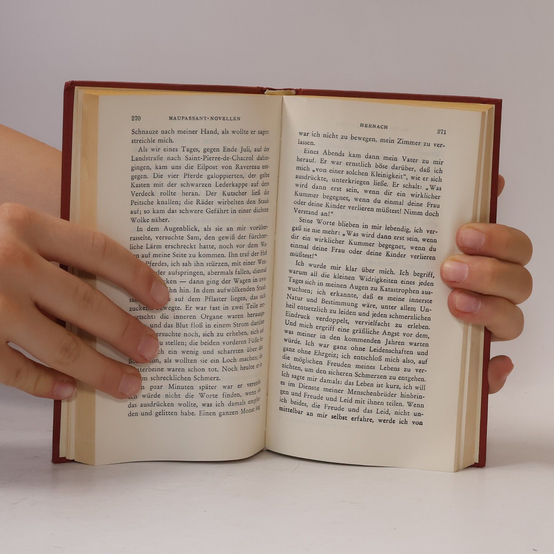 Guy de Maupassant Novellen