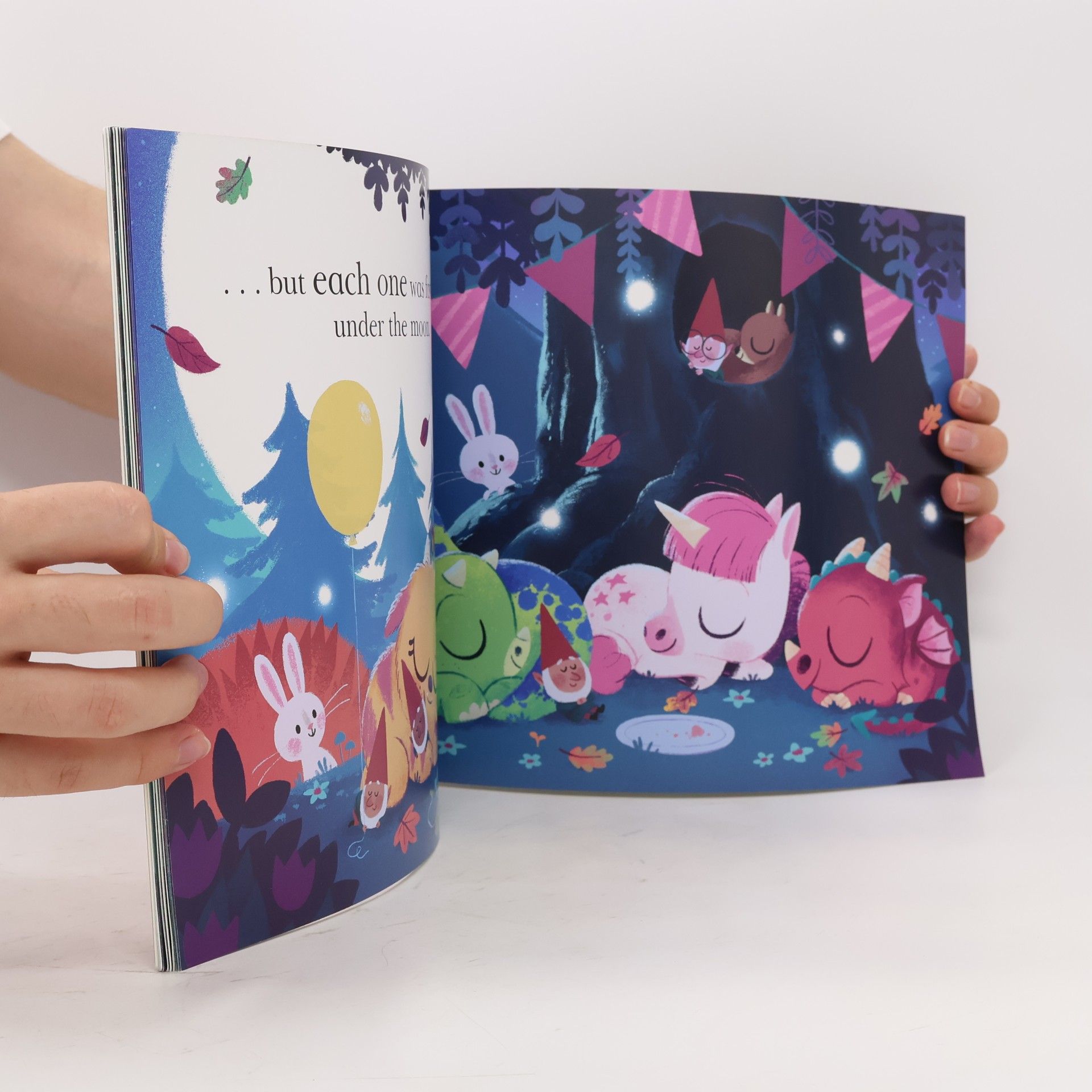 Rhiannon Fielding Ten Minutes to Bed: Little Unicorn's Birthday