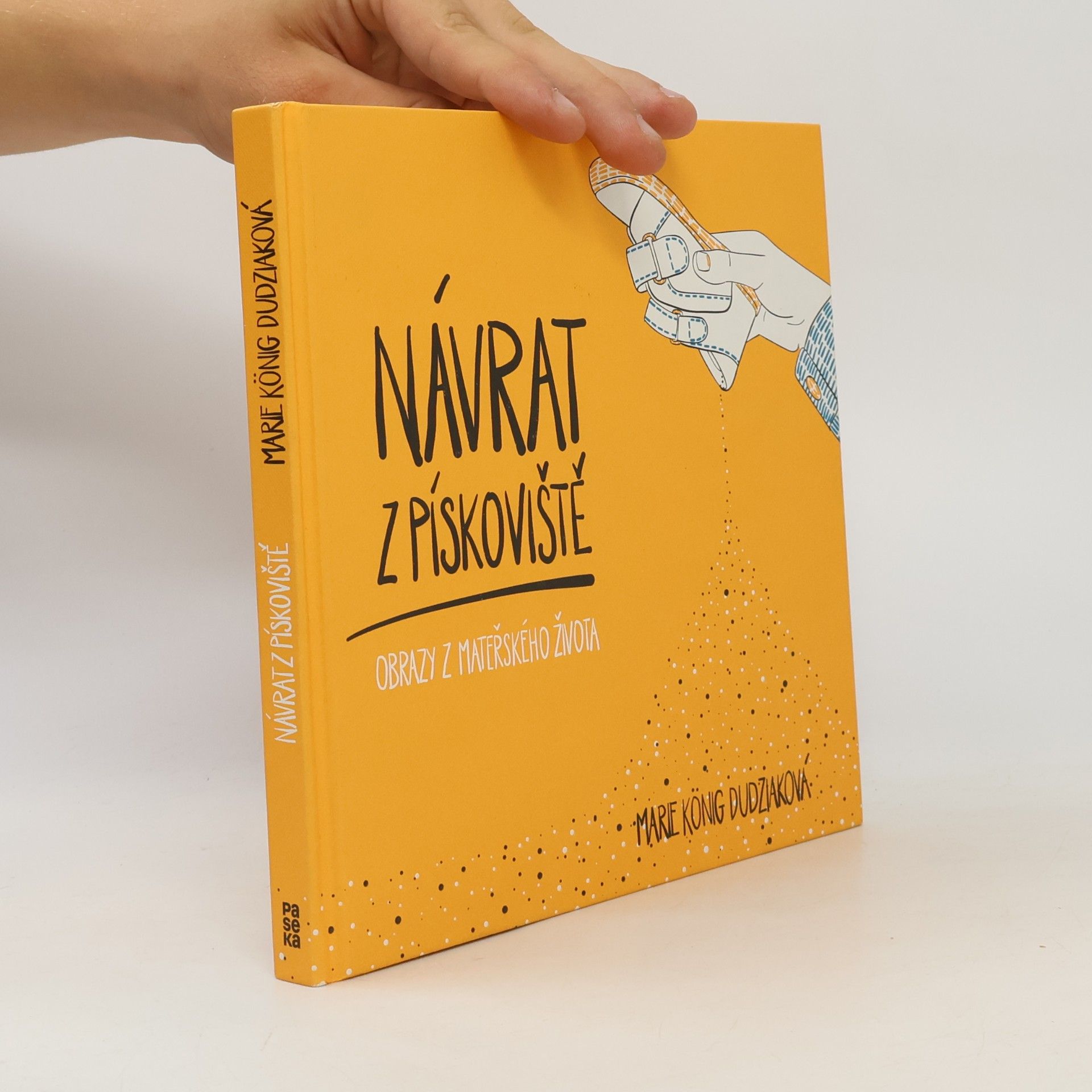 Marie König Dudziaková Návrat z pískoviště : obrazy z mateřského života