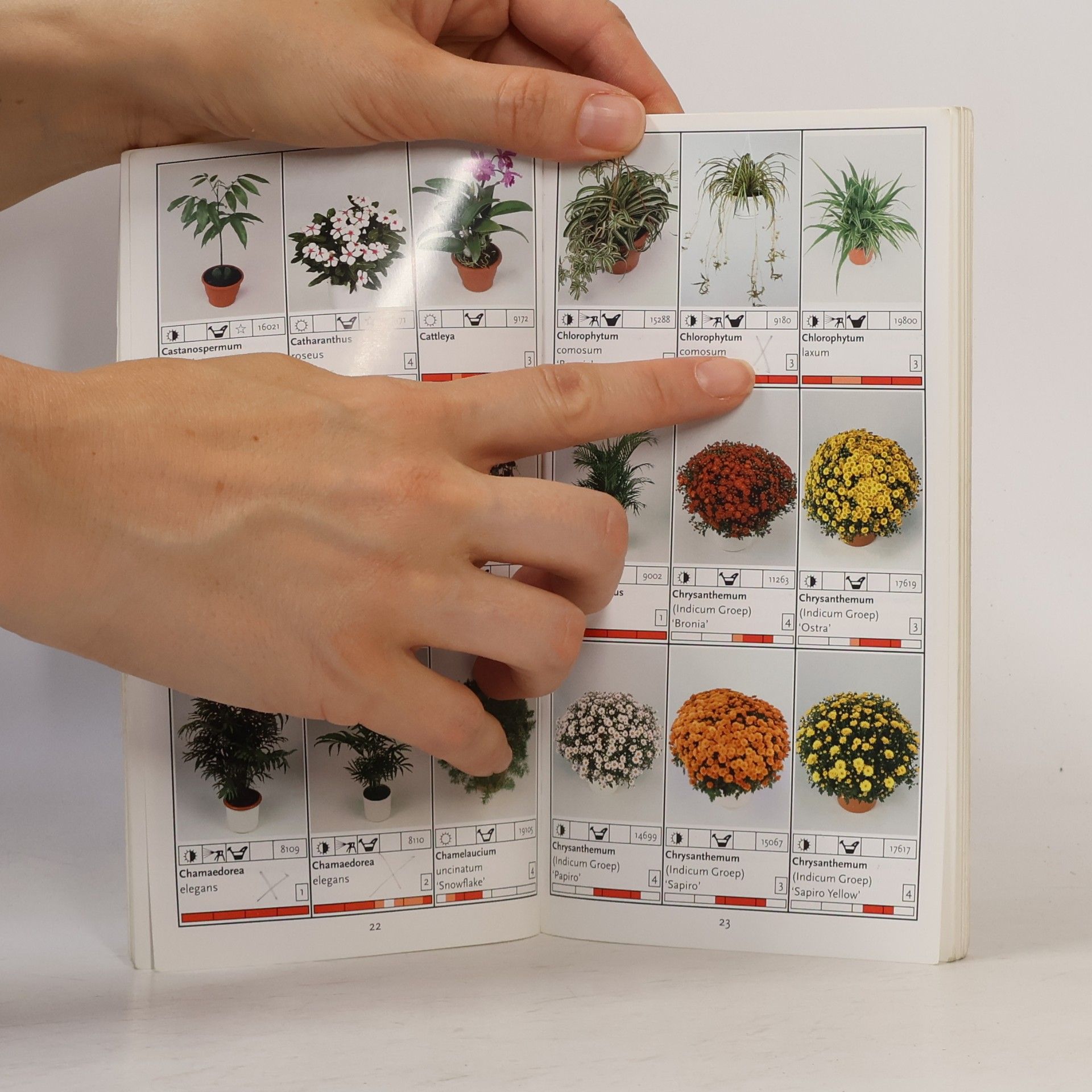 Various authors Plants from Holland naturally