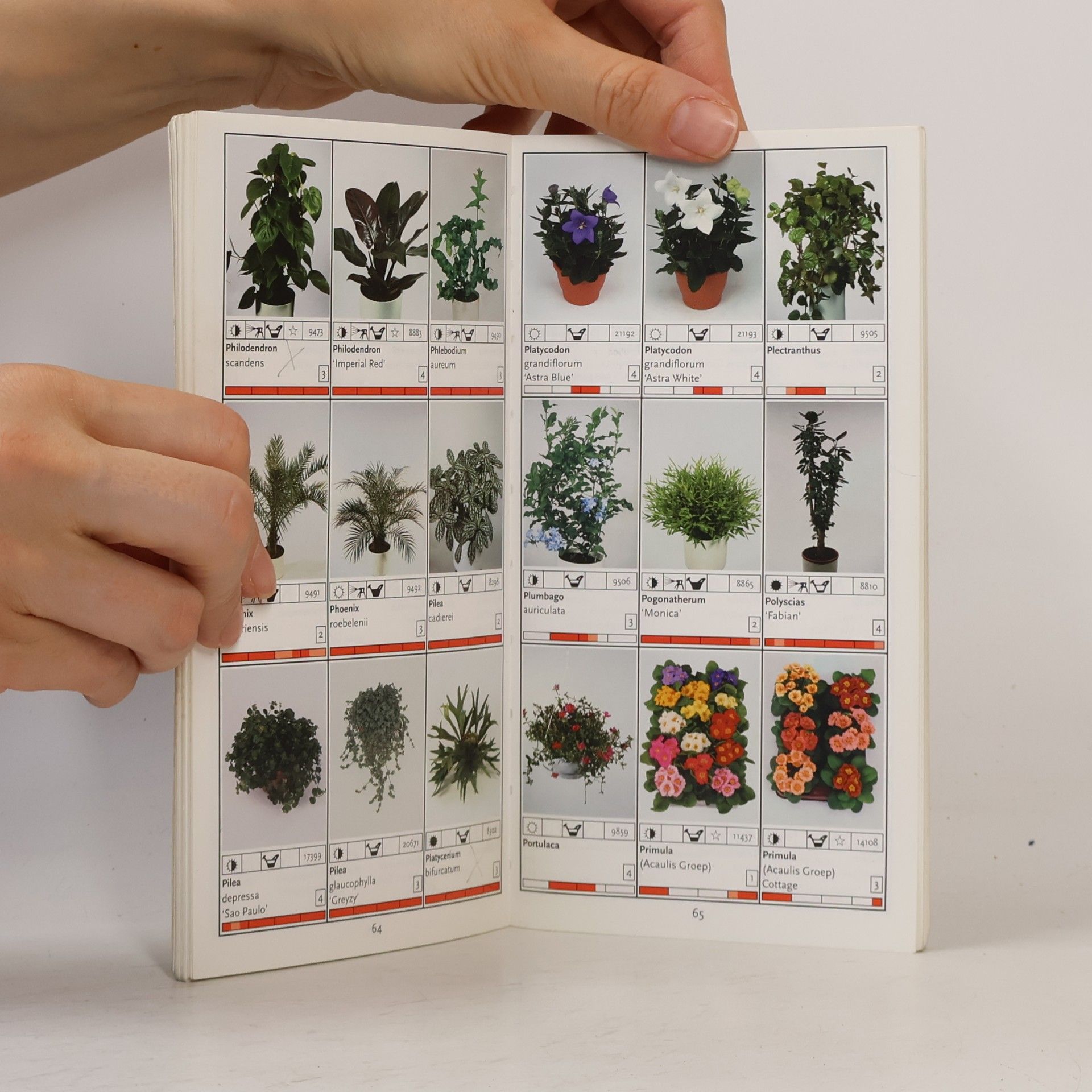 Various authors Plants from Holland naturally