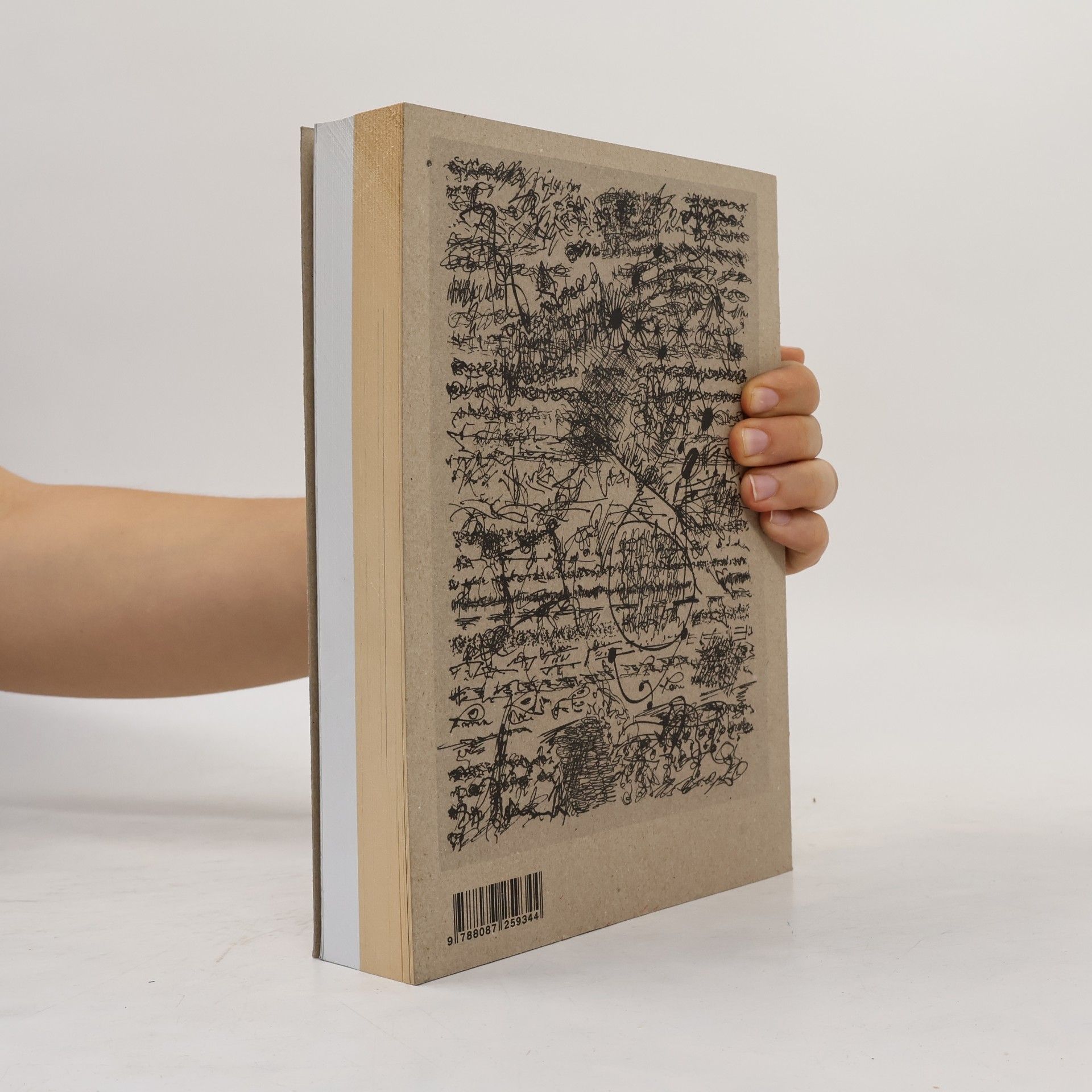 Ondřej Buddeus Třídit slova. Literatura a konceptuální tendence 1949-2015