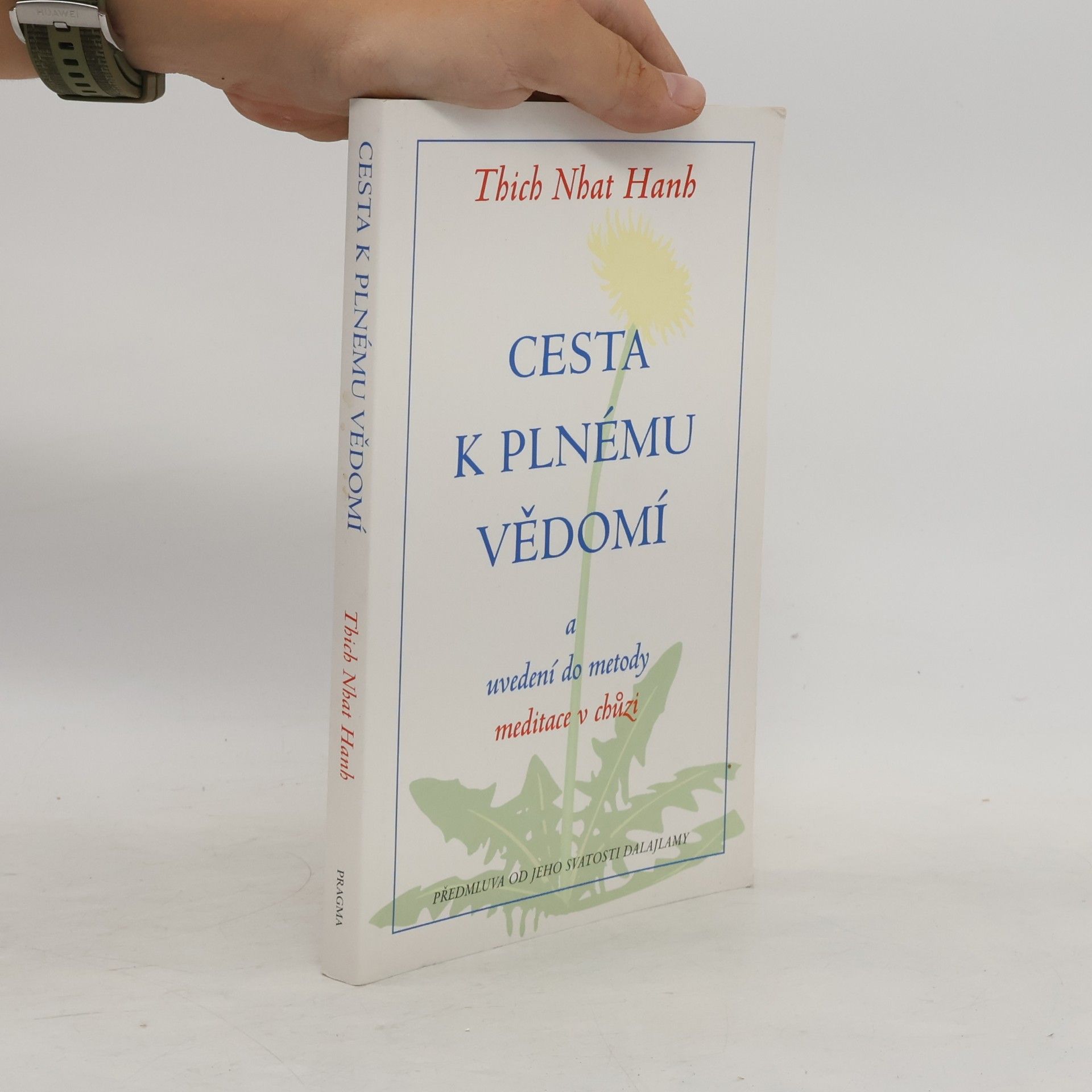 Cesta k plnému vědomí a uvedení do metody meditace v chůzi