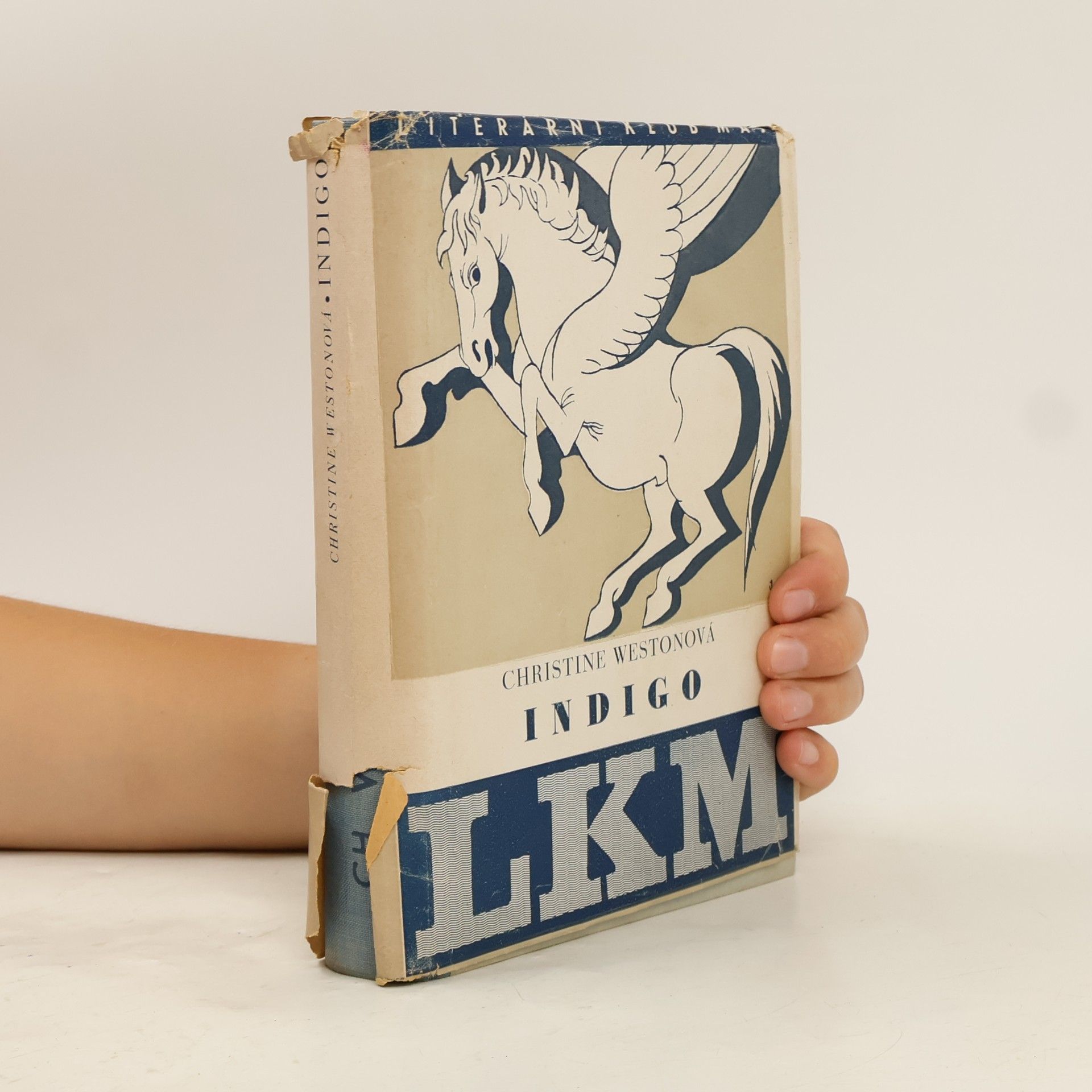 Autorenkollektiv Indigo