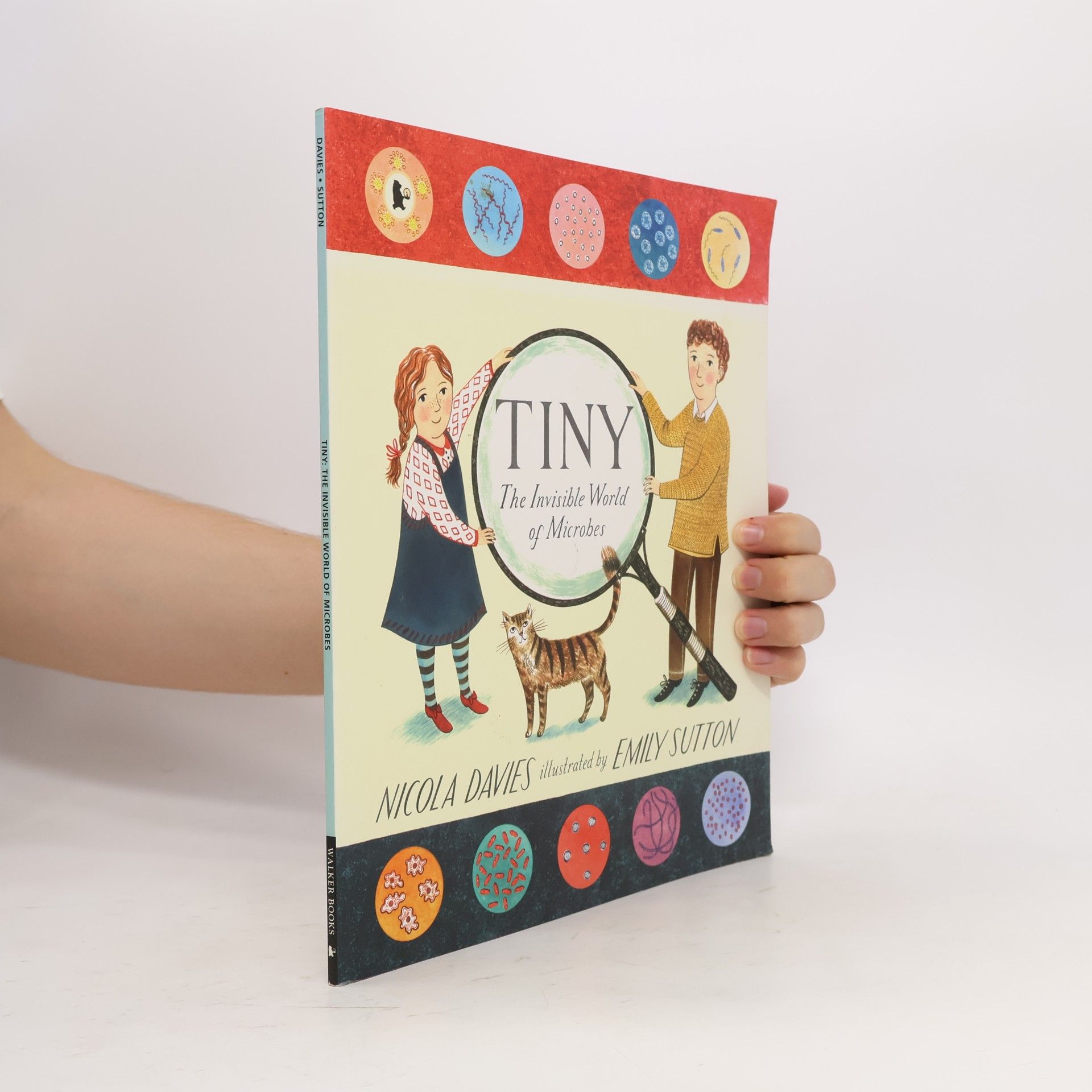 Nicola Davies Tiny. The Invisible World of Microbes