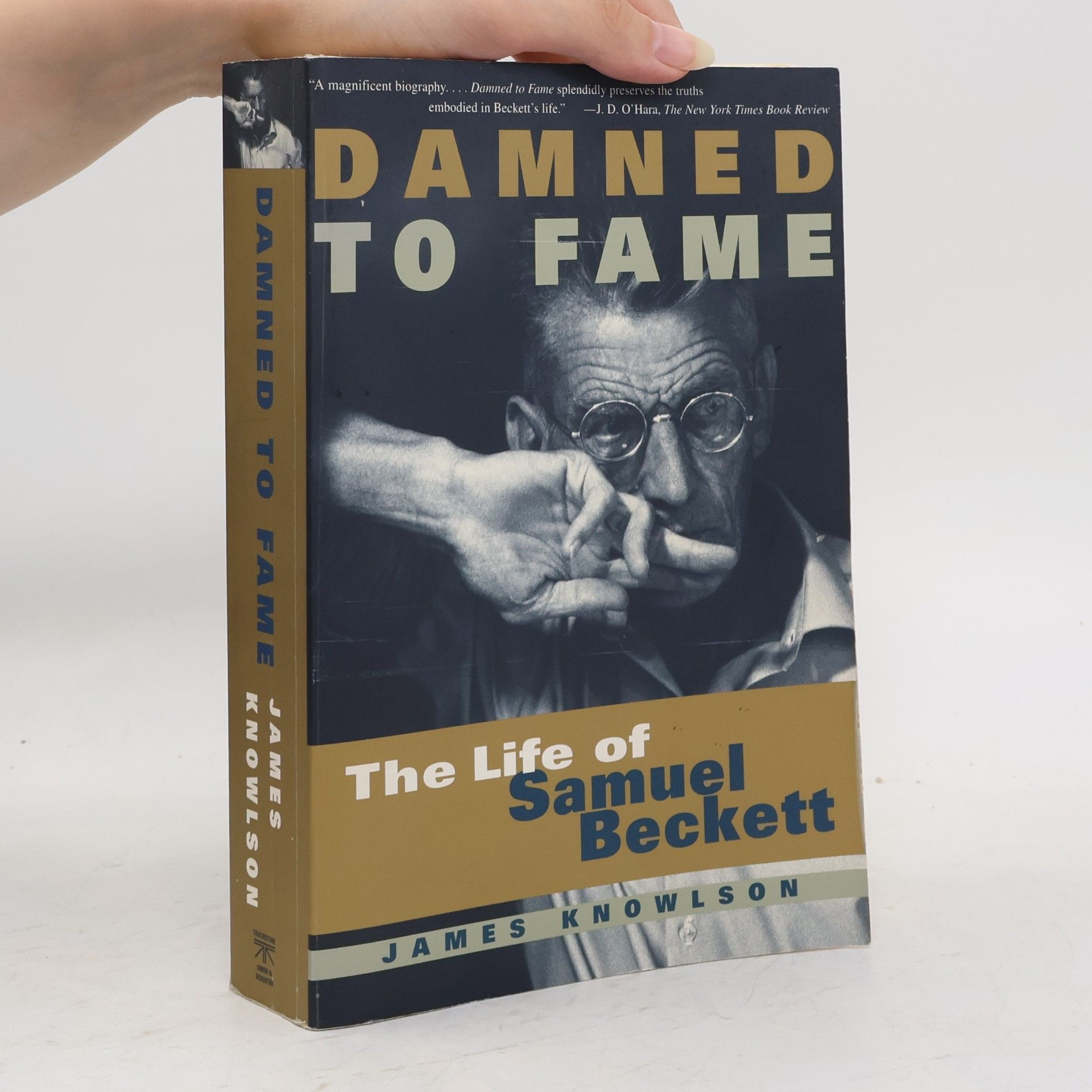 James Knowlson Damned to Fame
